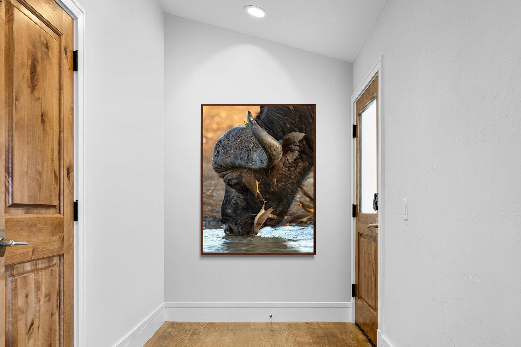 Pixalot Drinking Buffalo