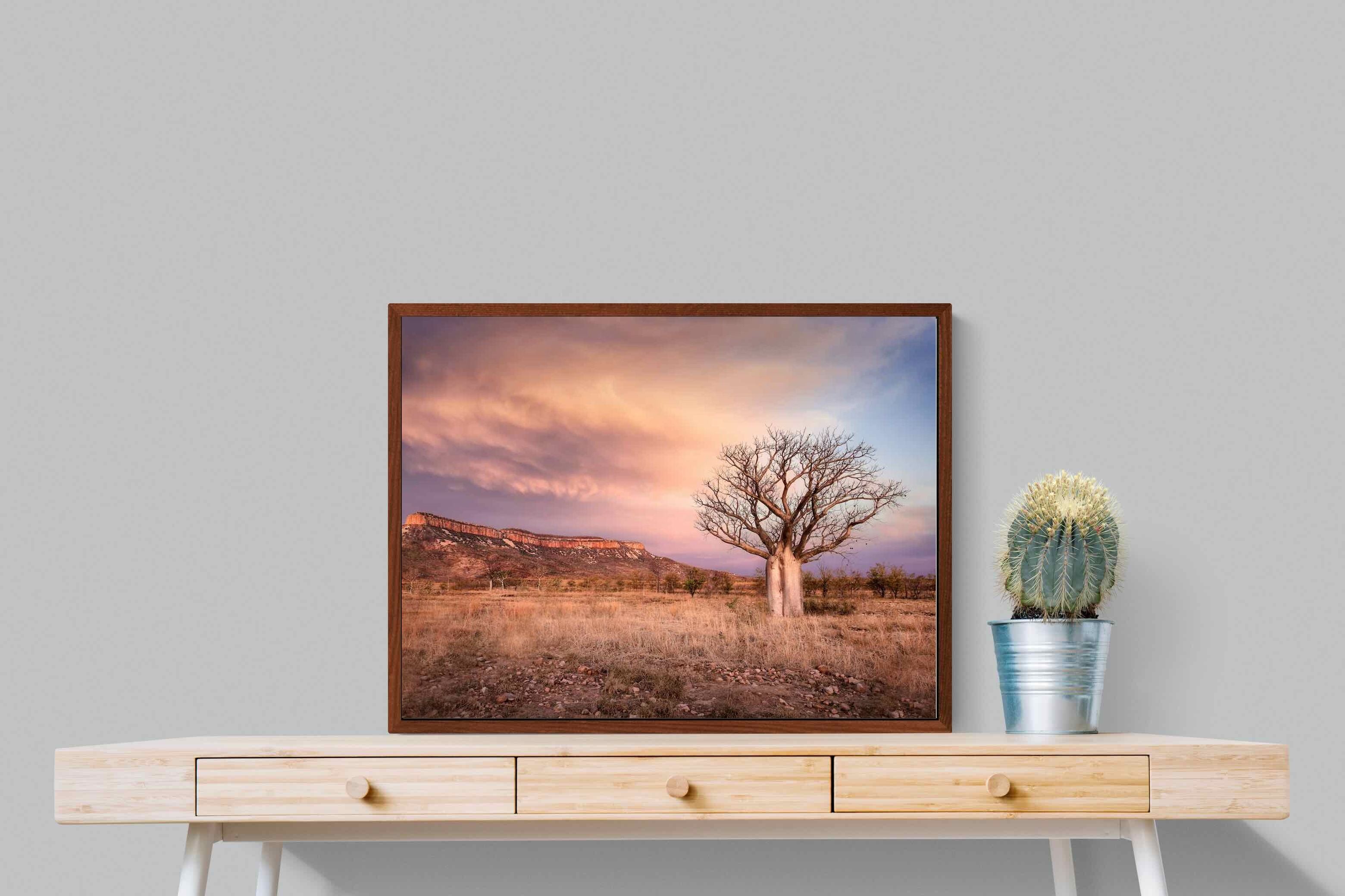 Pixalot ® Dusky Baobab