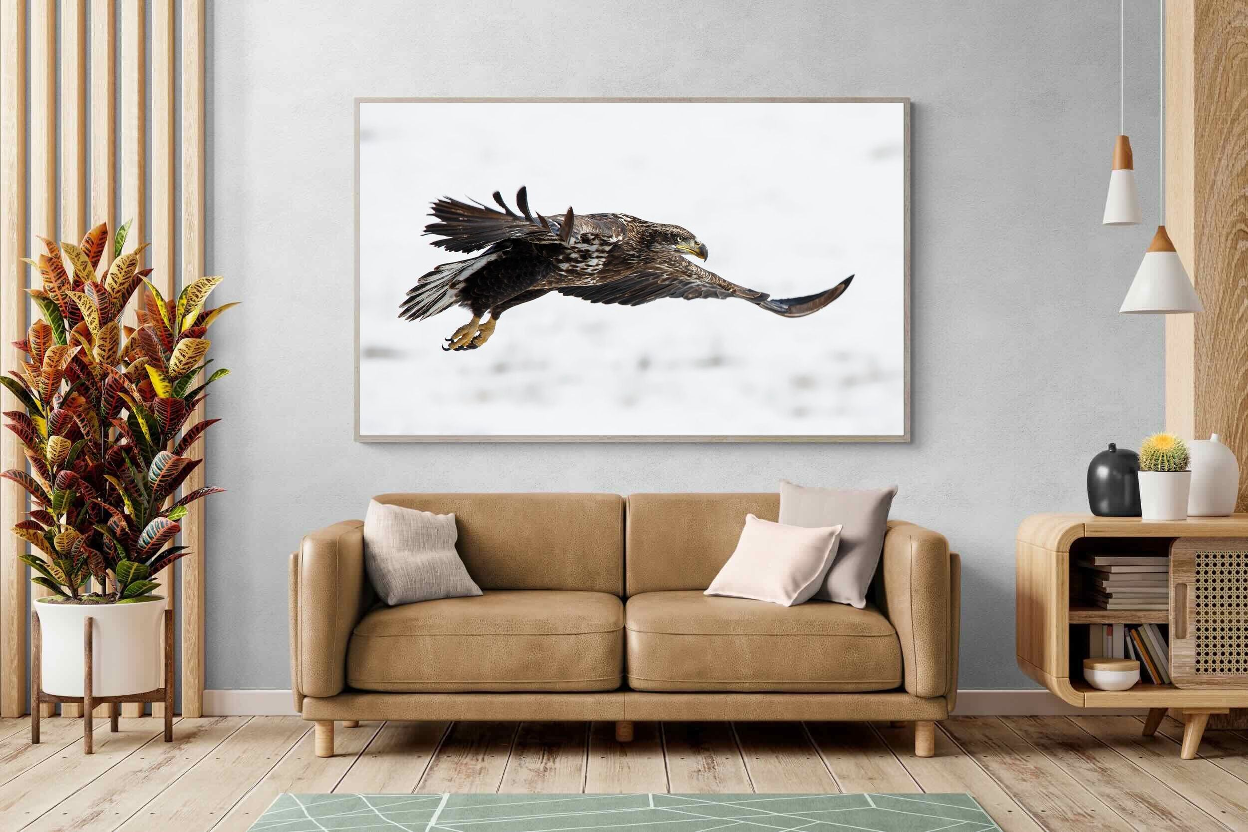 Pixalot Eagle