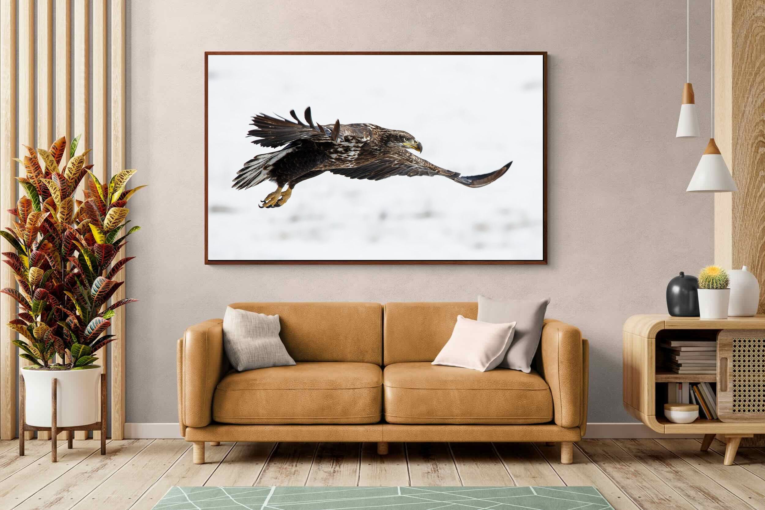 Pixalot Eagle
