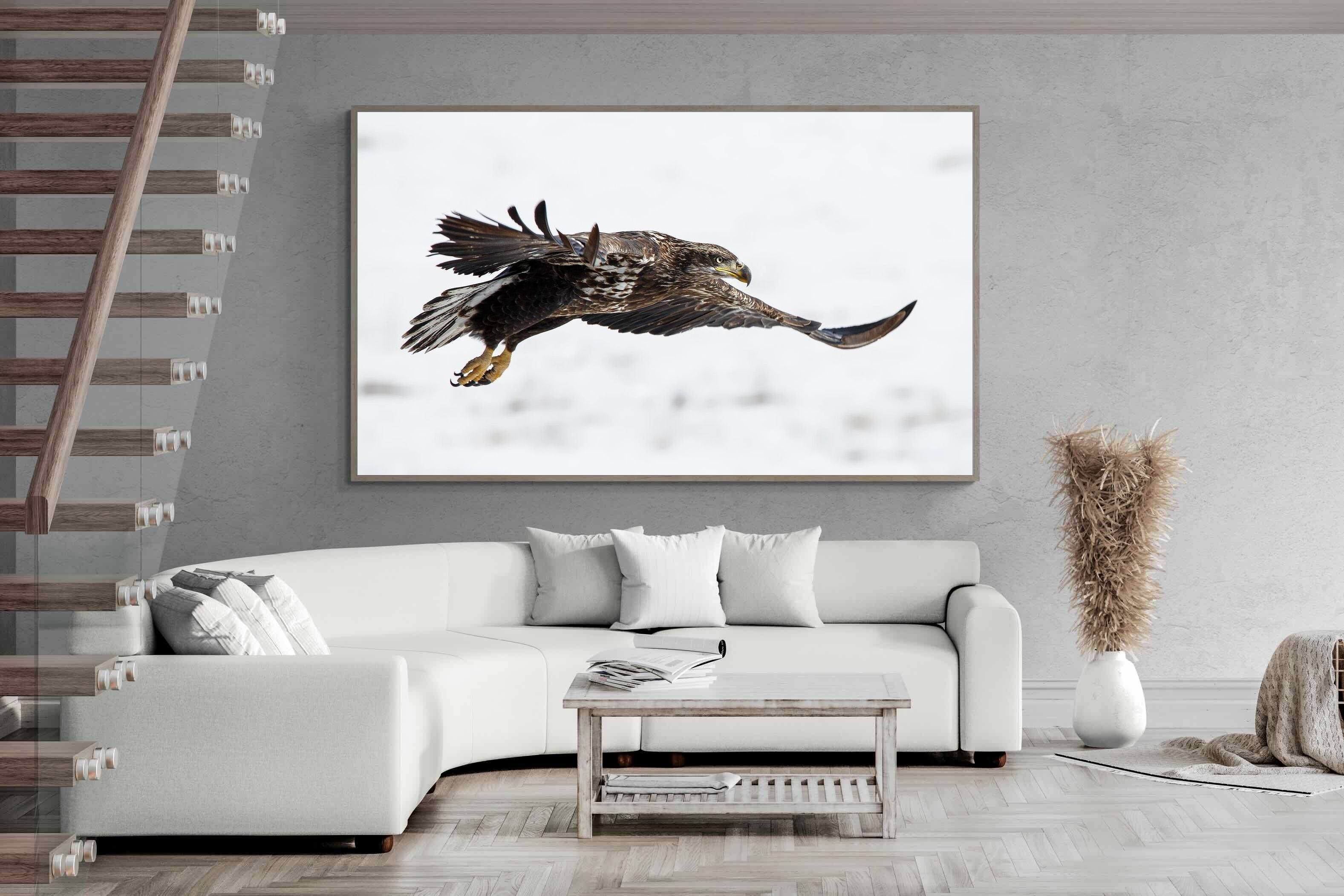 Pixalot Eagle