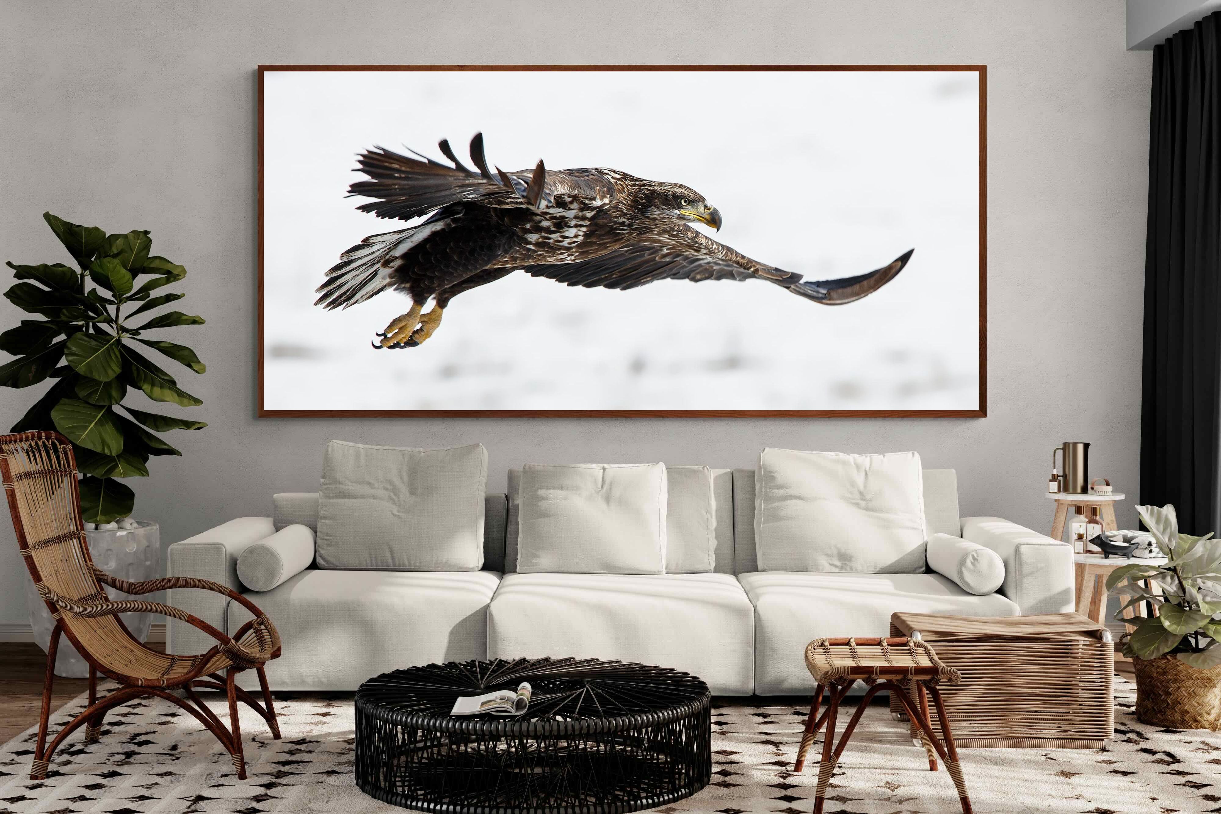 Pixalot Eagle