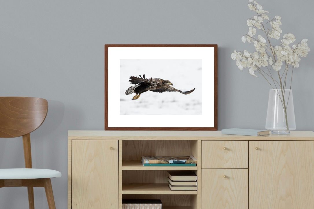Pixalot Eagle