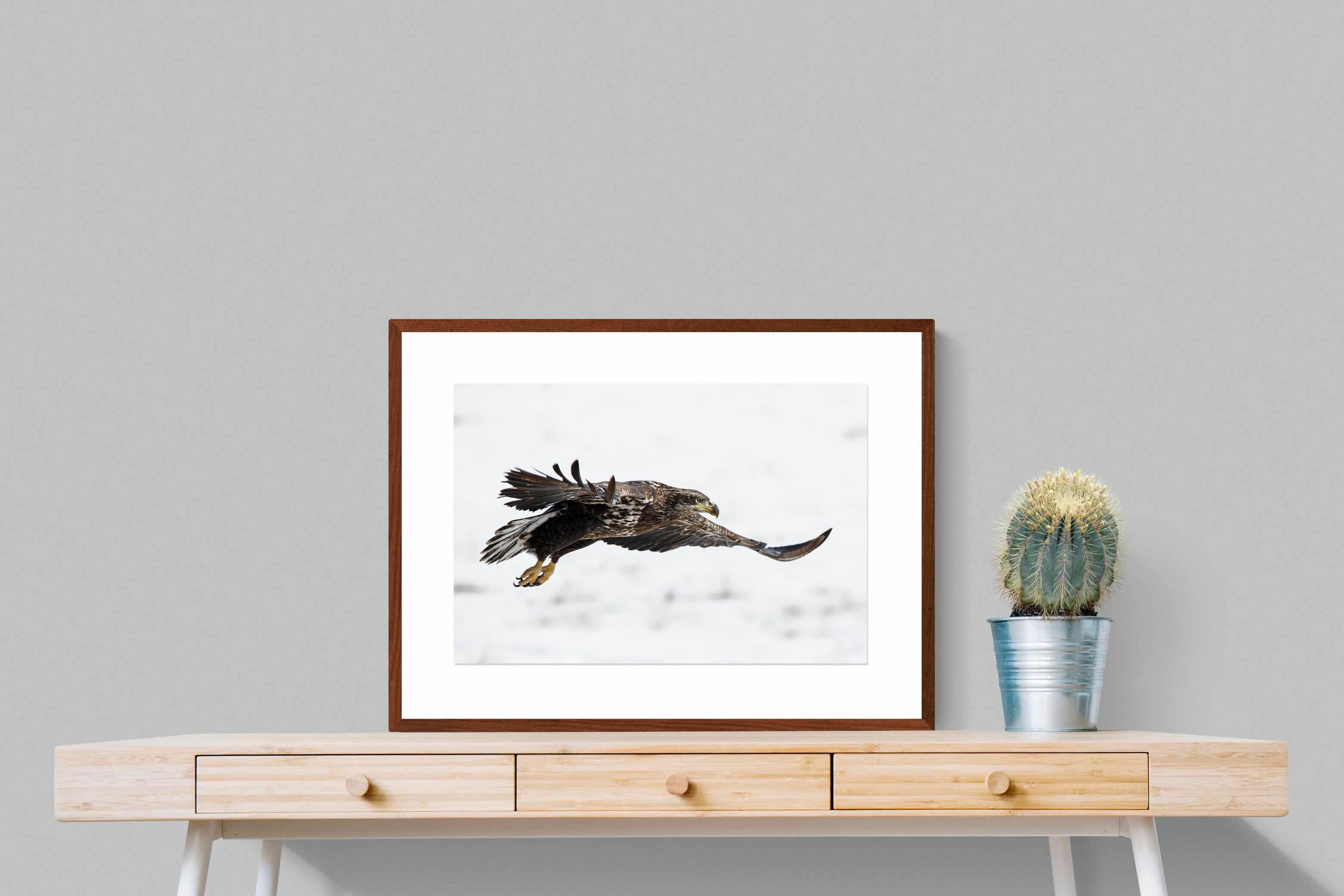 Pixalot Eagle