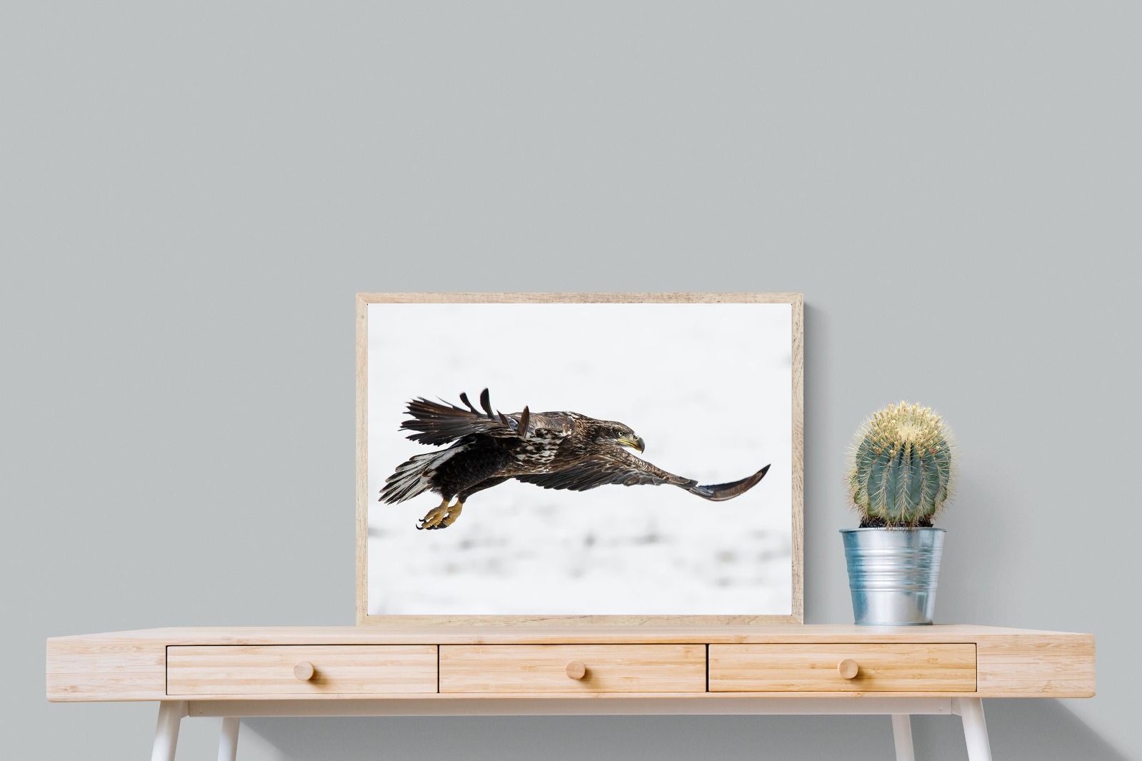 Pixalot Eagle
