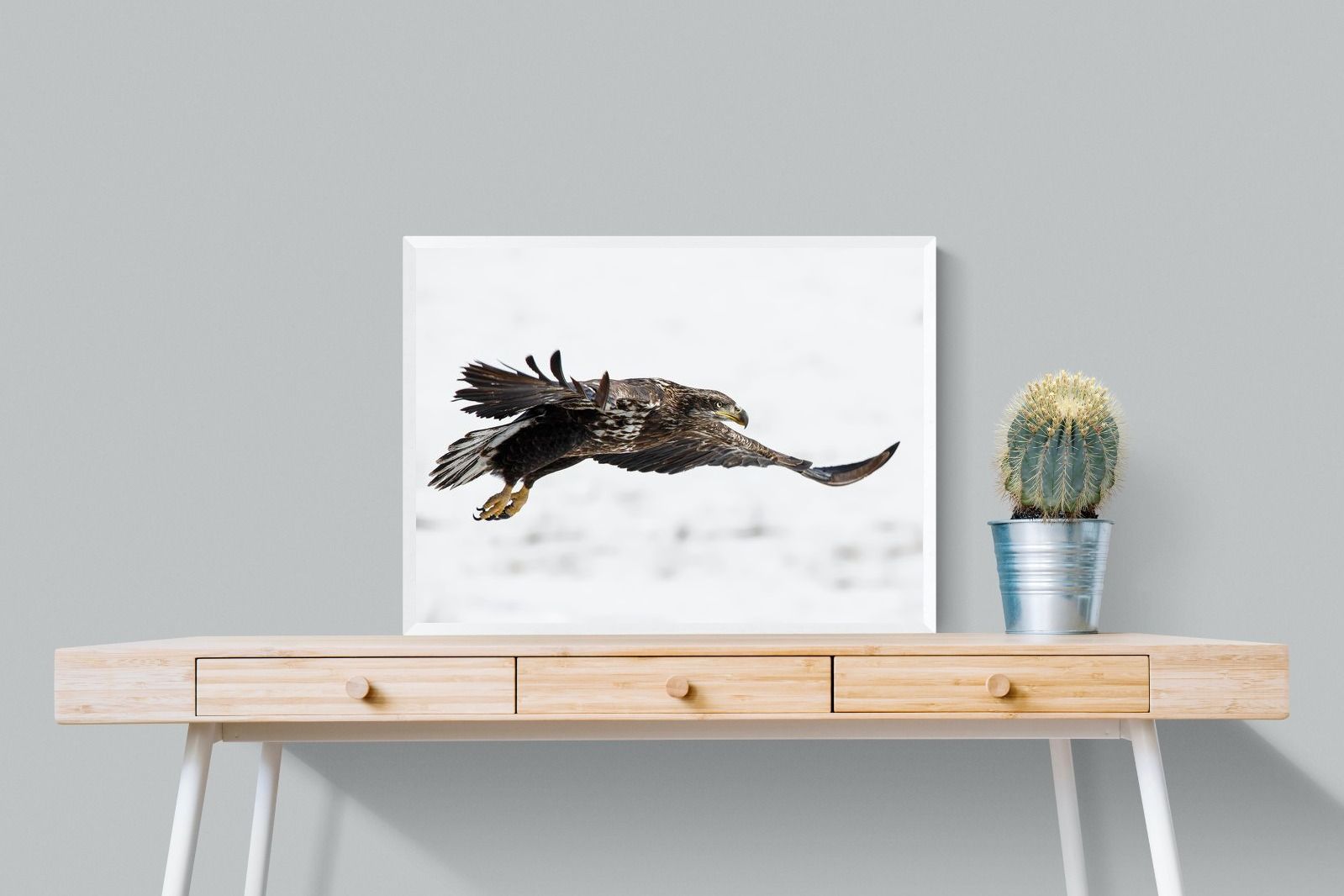 Pixalot Eagle
