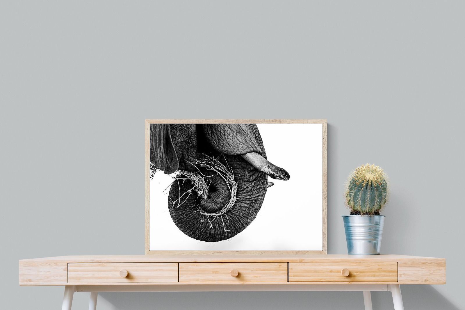 Pixalot ® Elephant Coil
