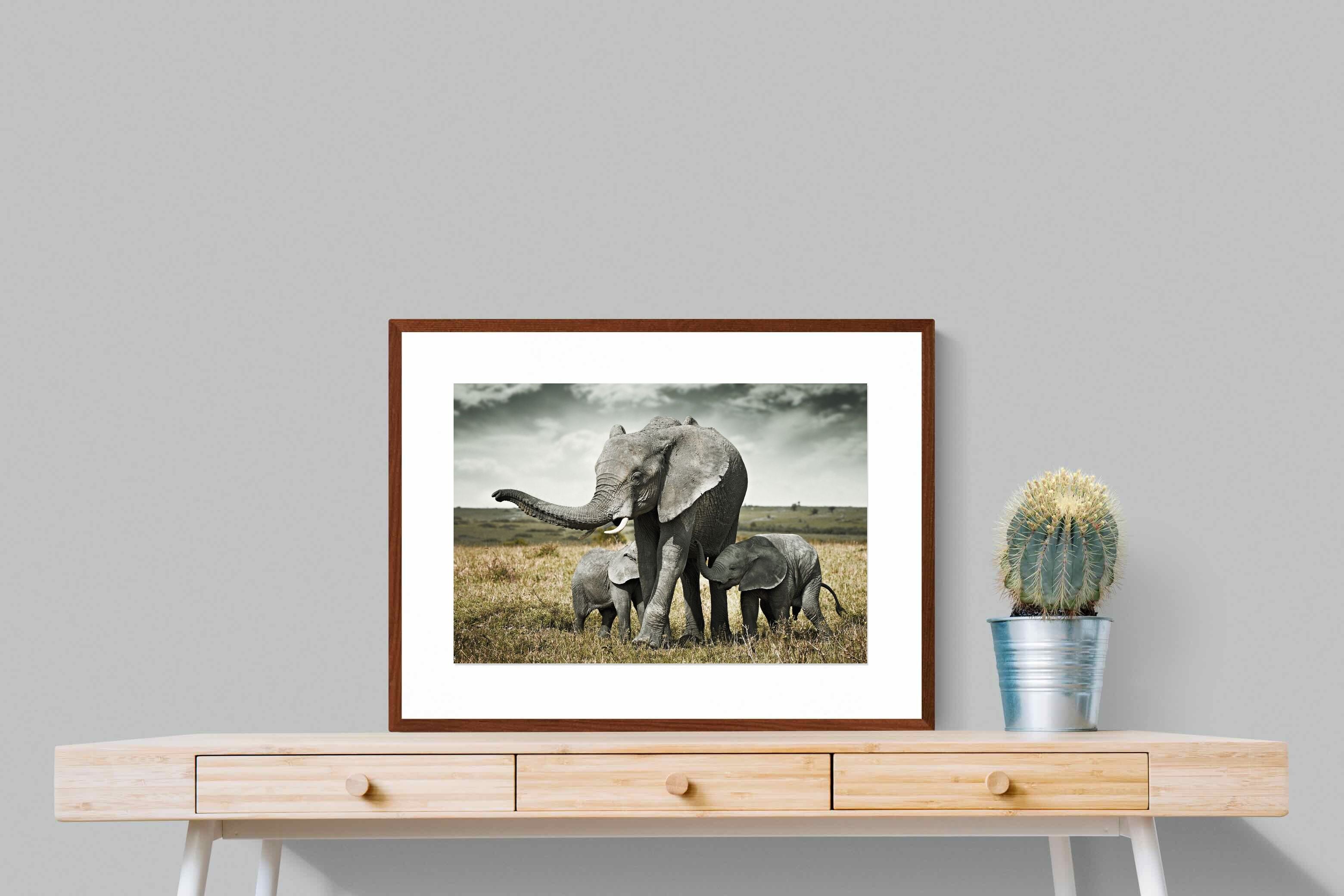 Pixalot ® Elephant Family Union