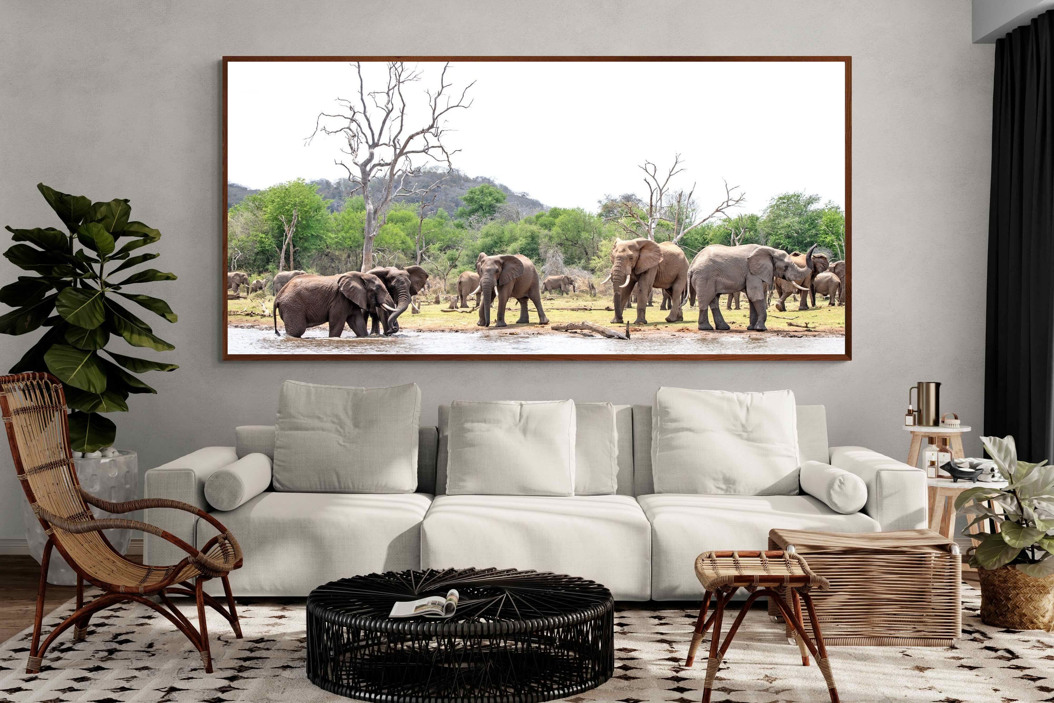 Pixalot Elephant Garden Party