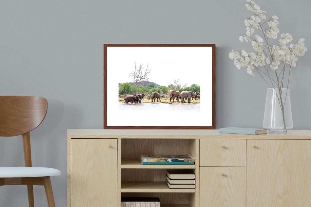 Pixalot Elephant Garden Party