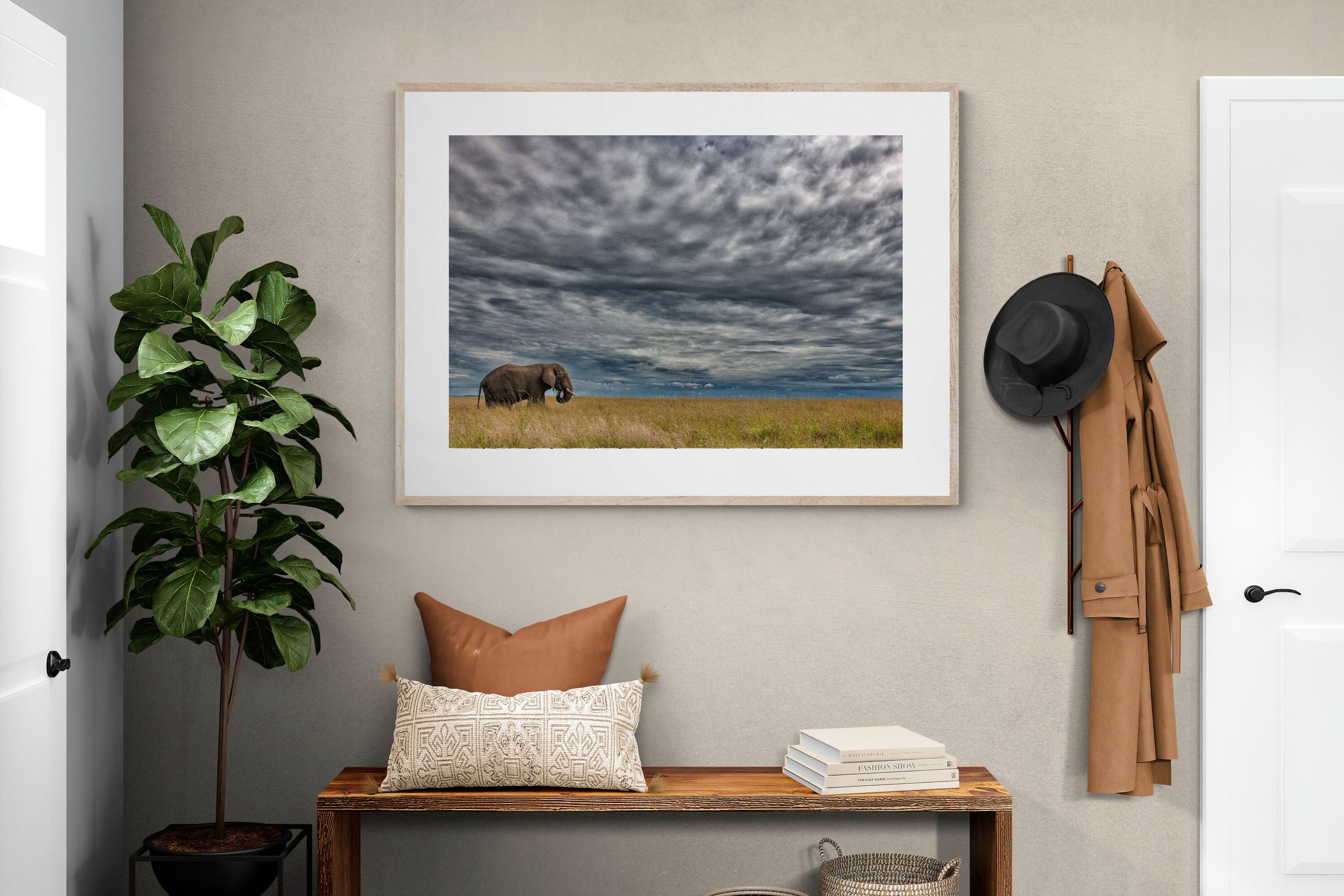 Pixalot Elephant Horizon