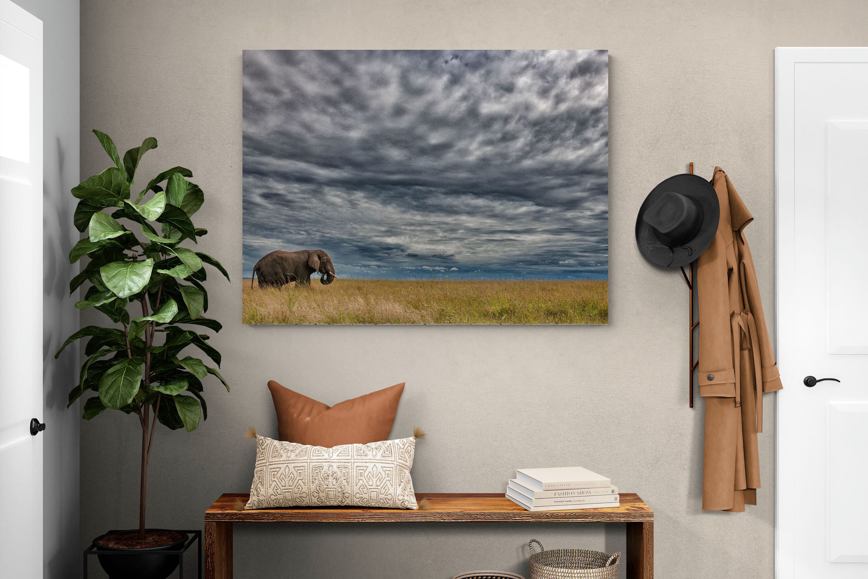 Pixalot Elephant Horizon