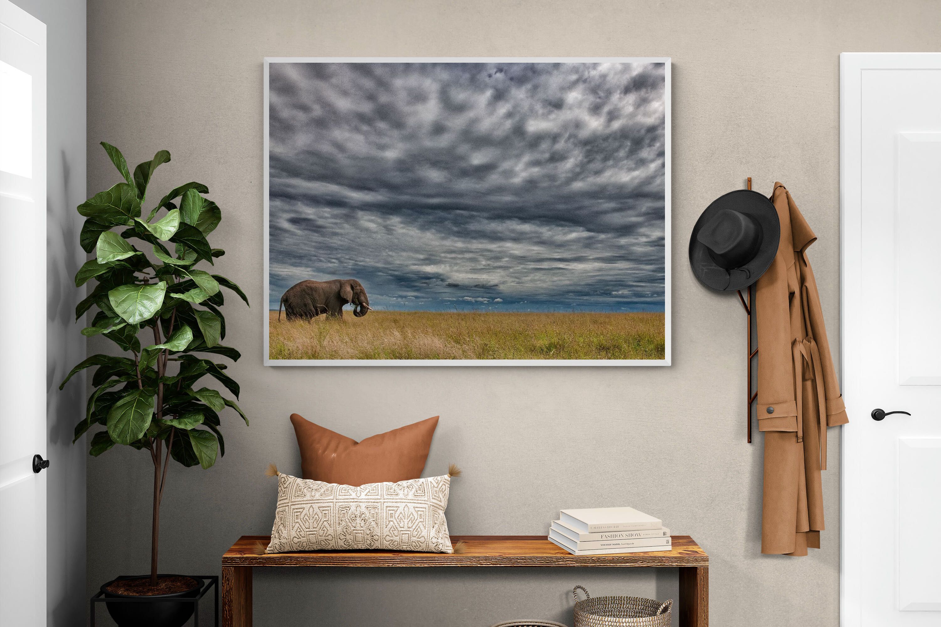 Pixalot Elephant Horizon