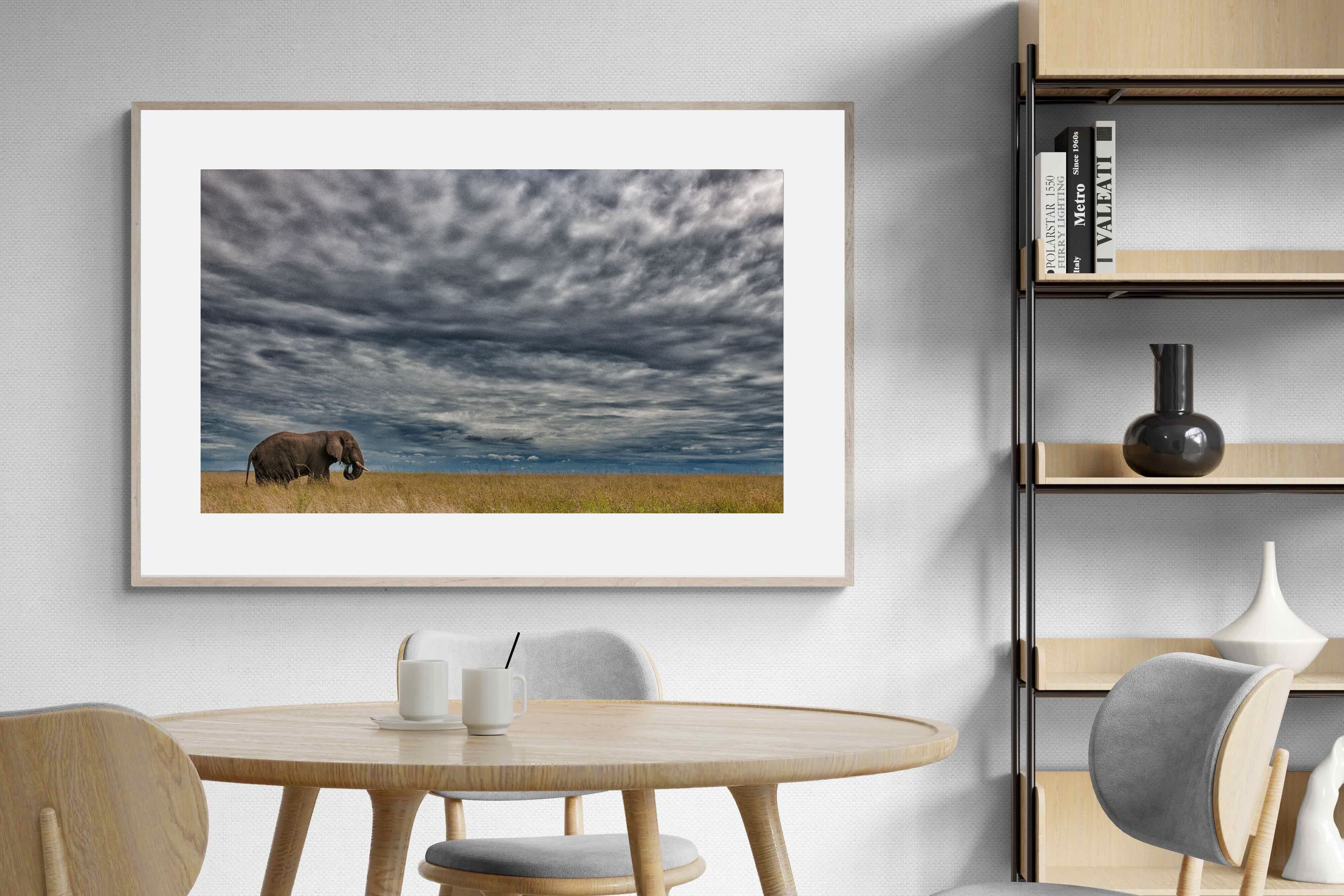 Pixalot Elephant Horizon