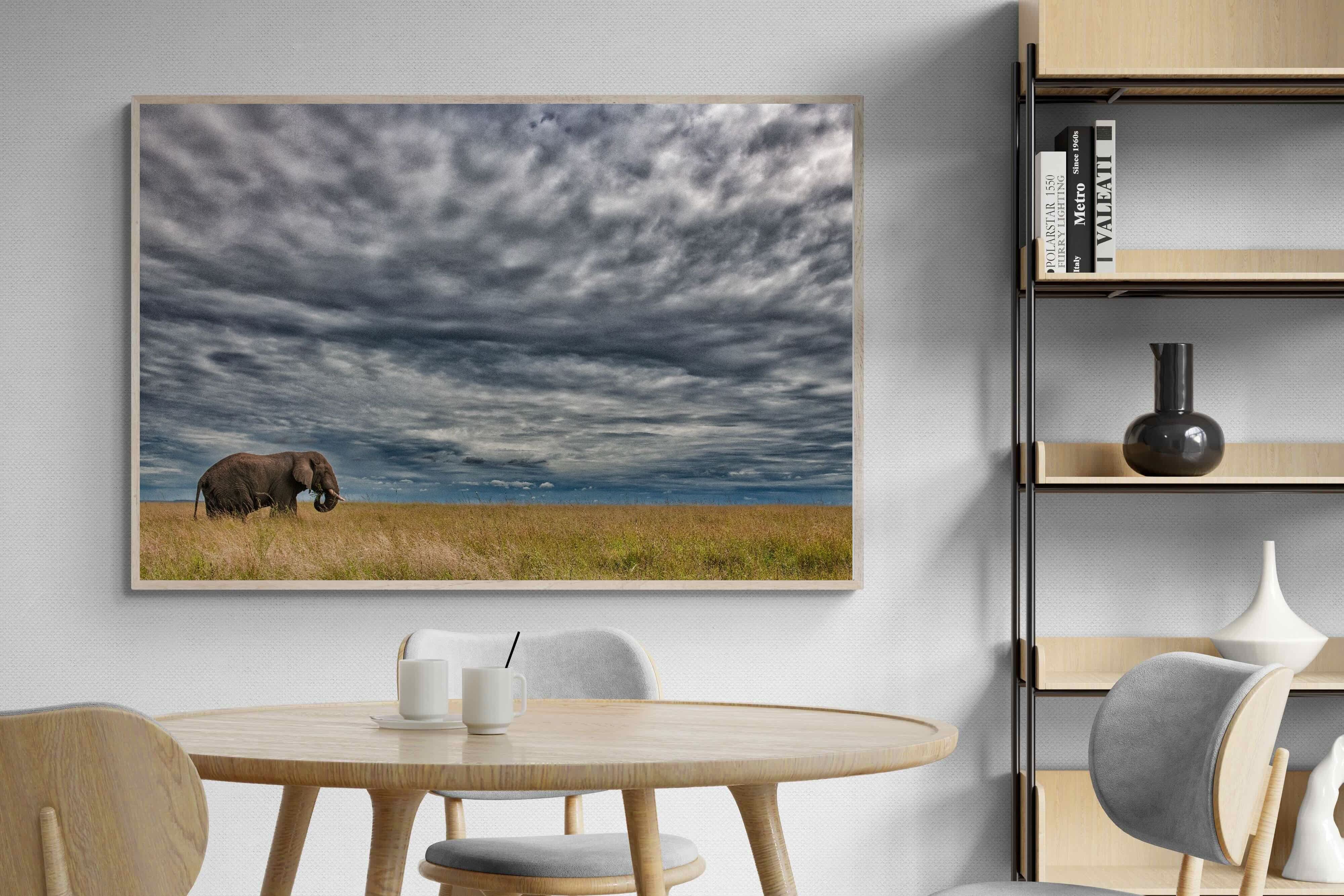 Pixalot Elephant Horizon