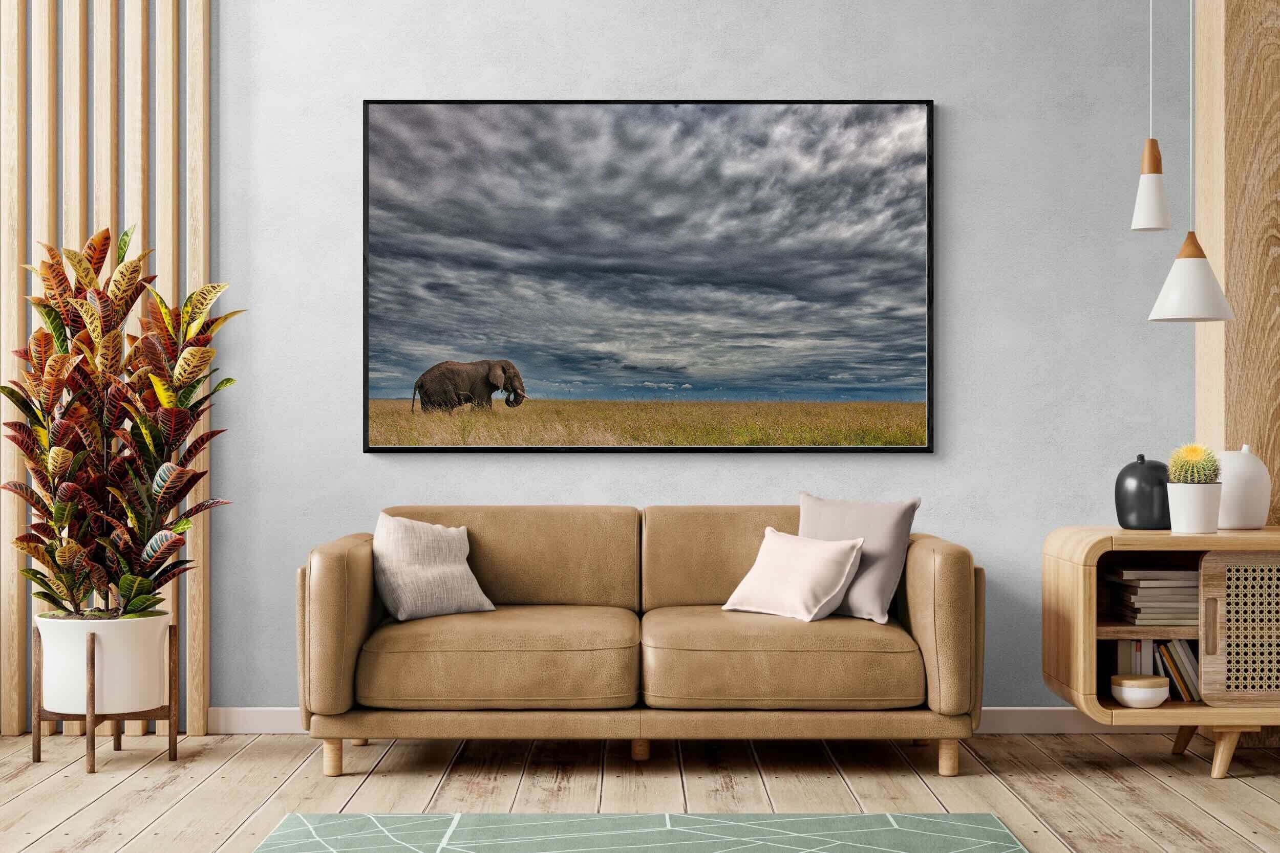 Pixalot Elephant Horizon