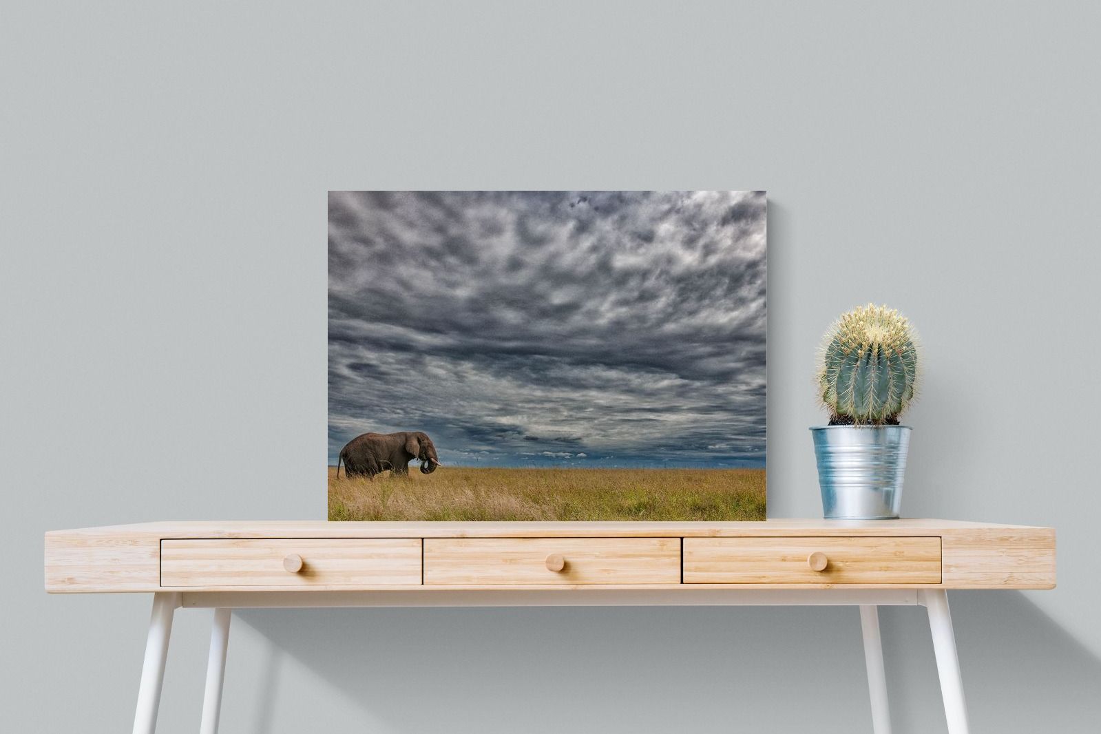 Pixalot Elephant Horizon