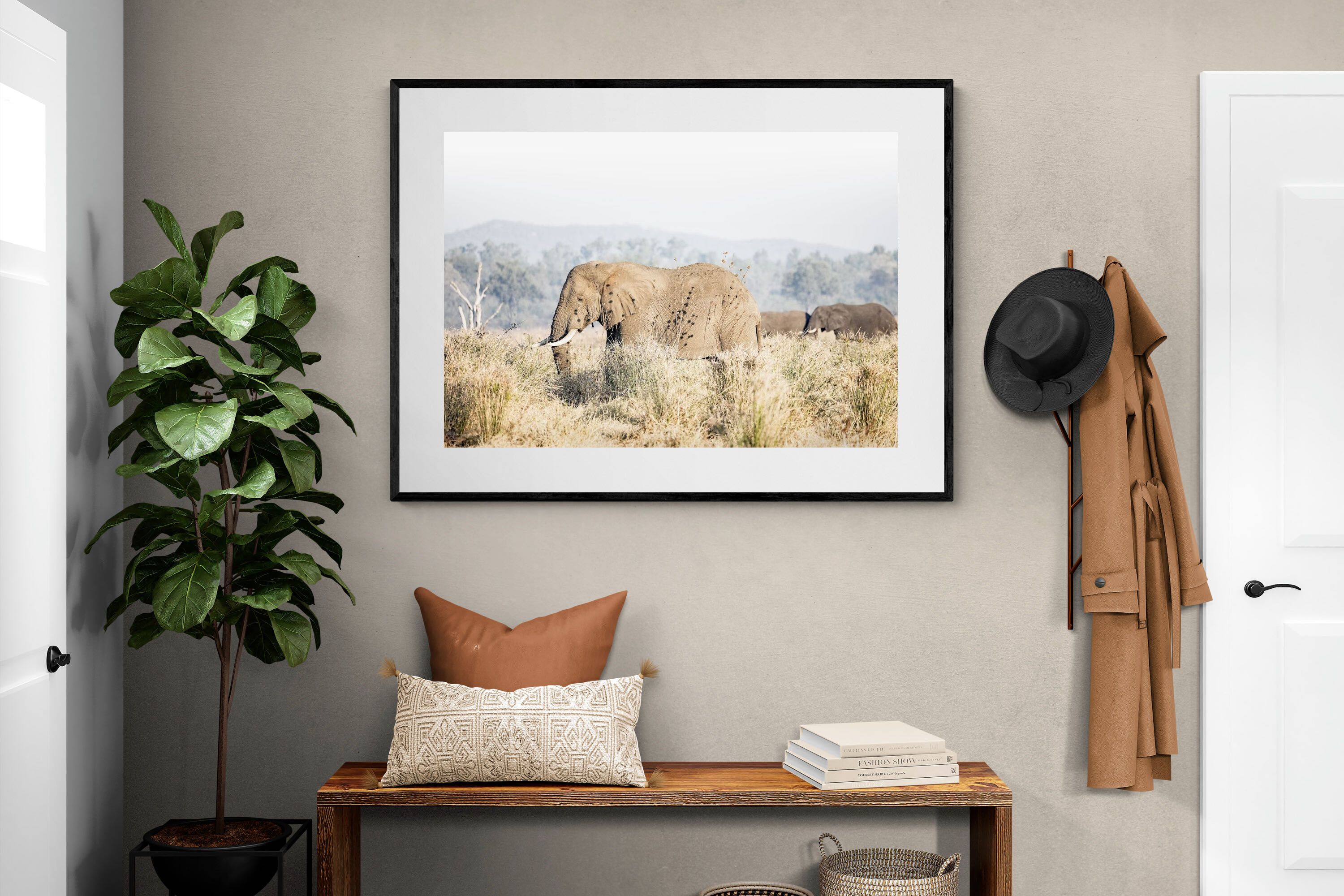 Pixalot Elephant in Leonotis