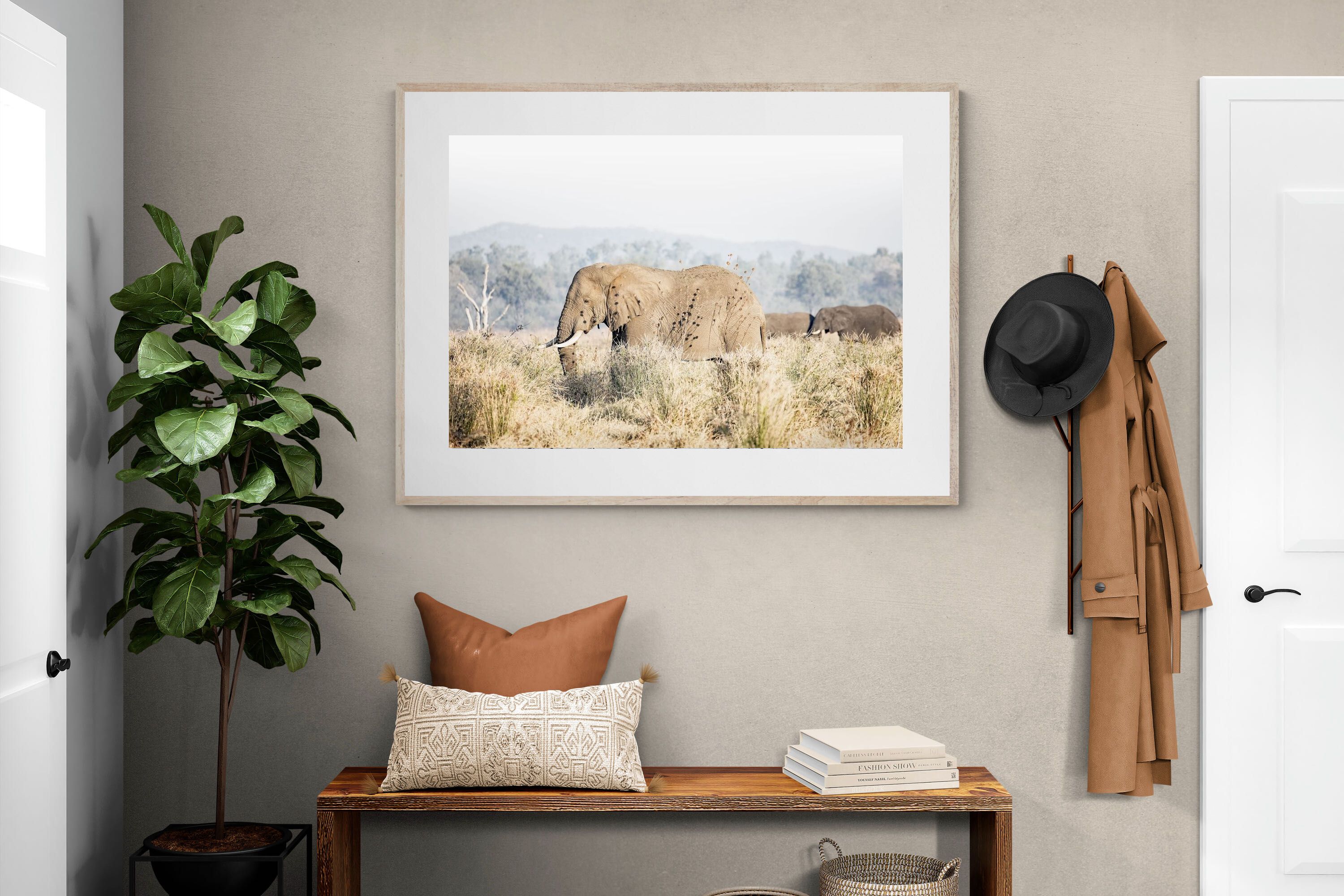 Pixalot Elephant in Leonotis