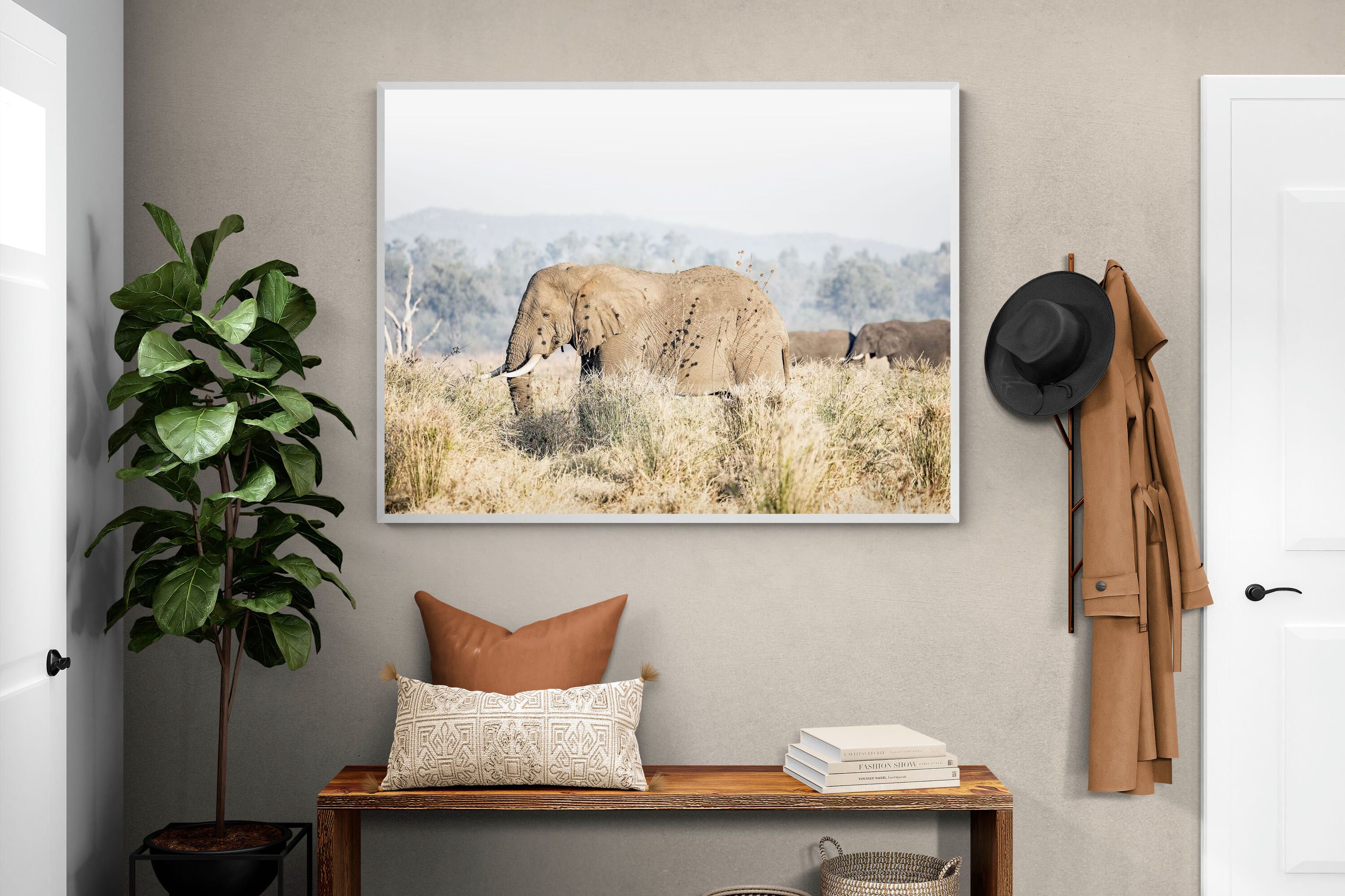 Pixalot Elephant in Leonotis