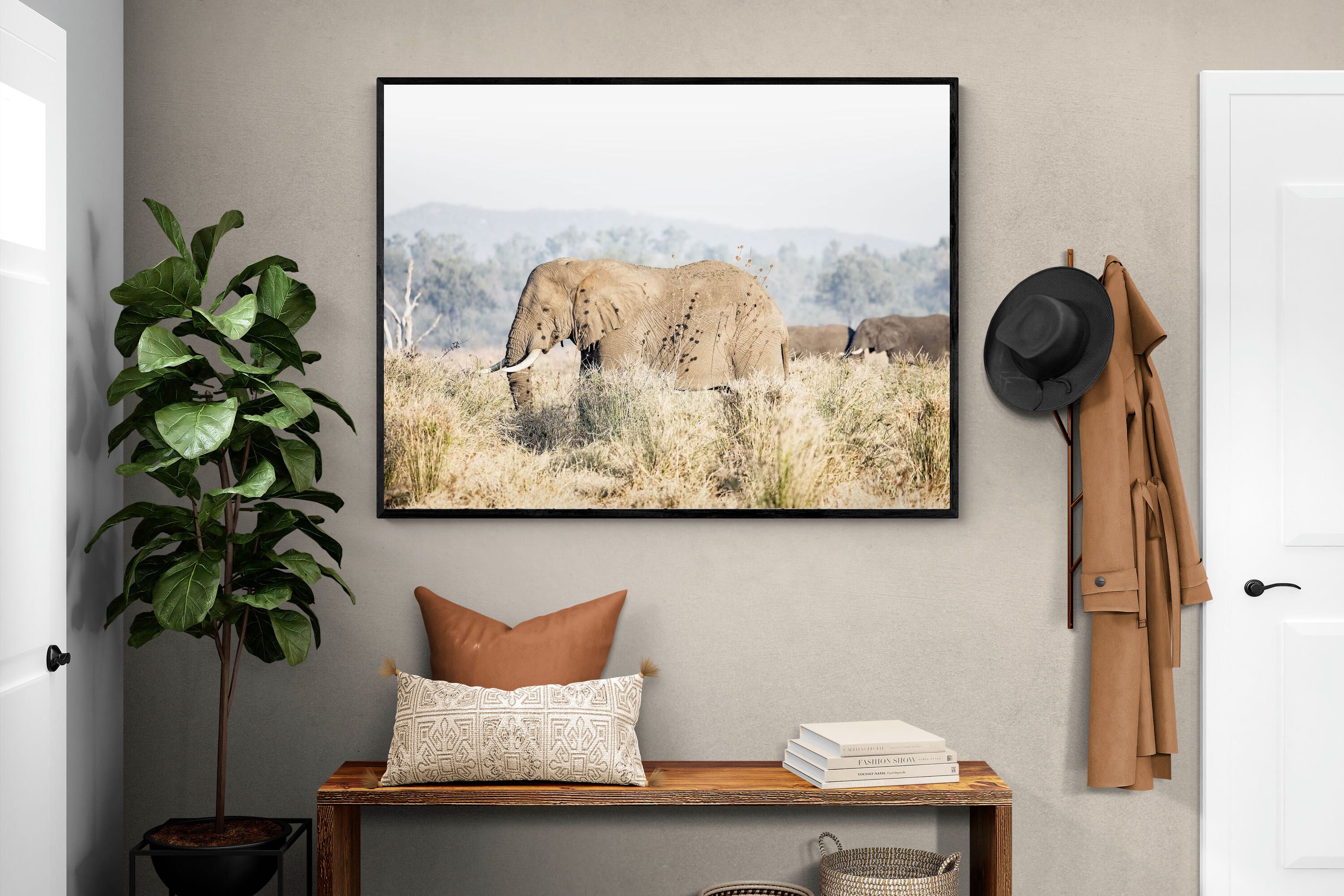 Pixalot Elephant in Leonotis