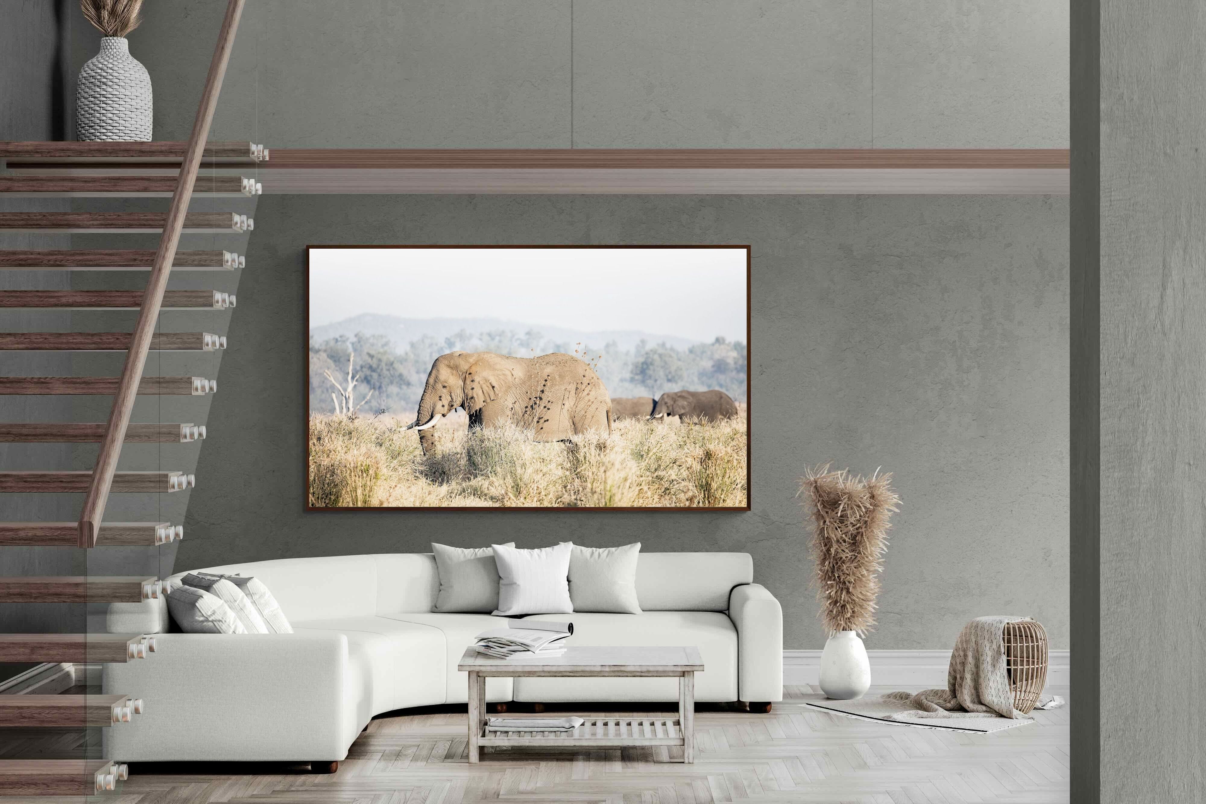 Pixalot Elephant in Leonotis