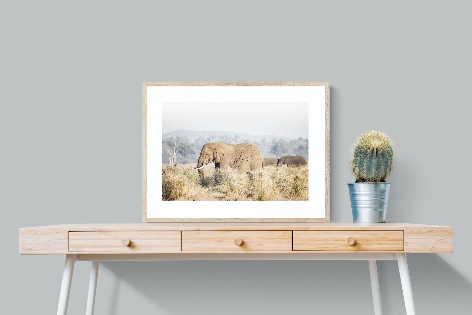 Pixalot Elephant in Leonotis