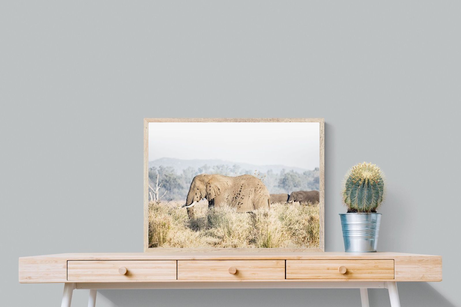 Pixalot Elephant in Leonotis