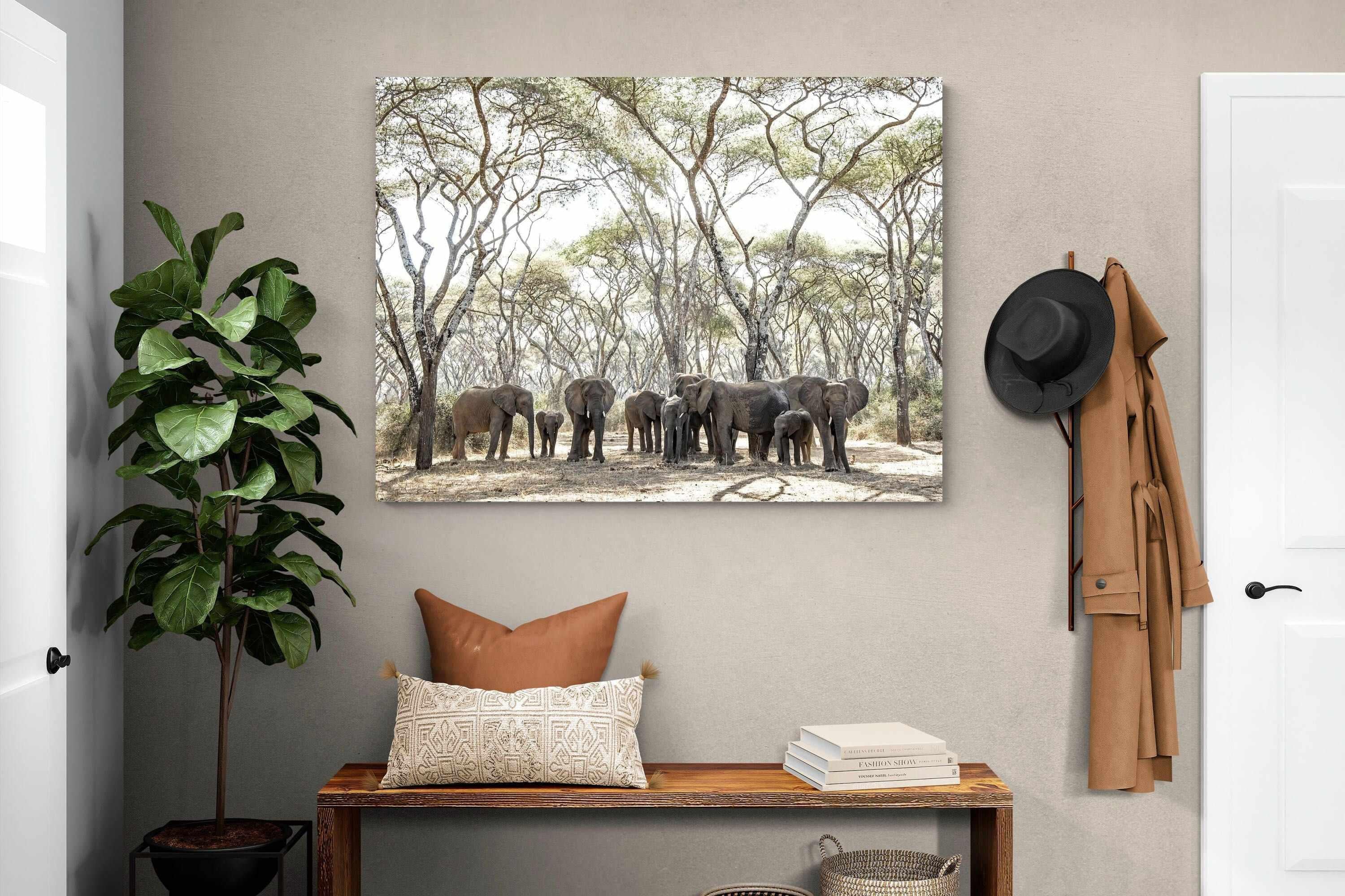 Pixalot Elephants Under Umbrellas