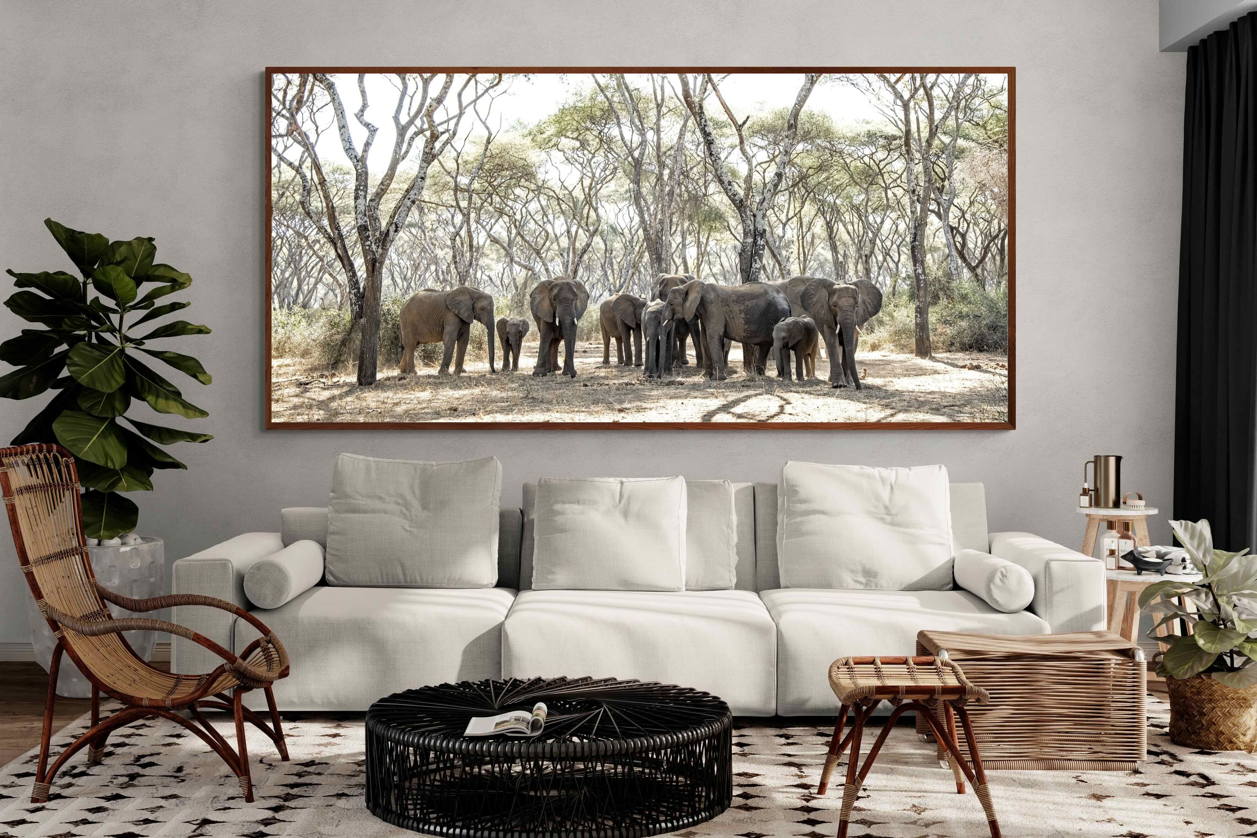 Pixalot ® Elephants Under Umbrellas