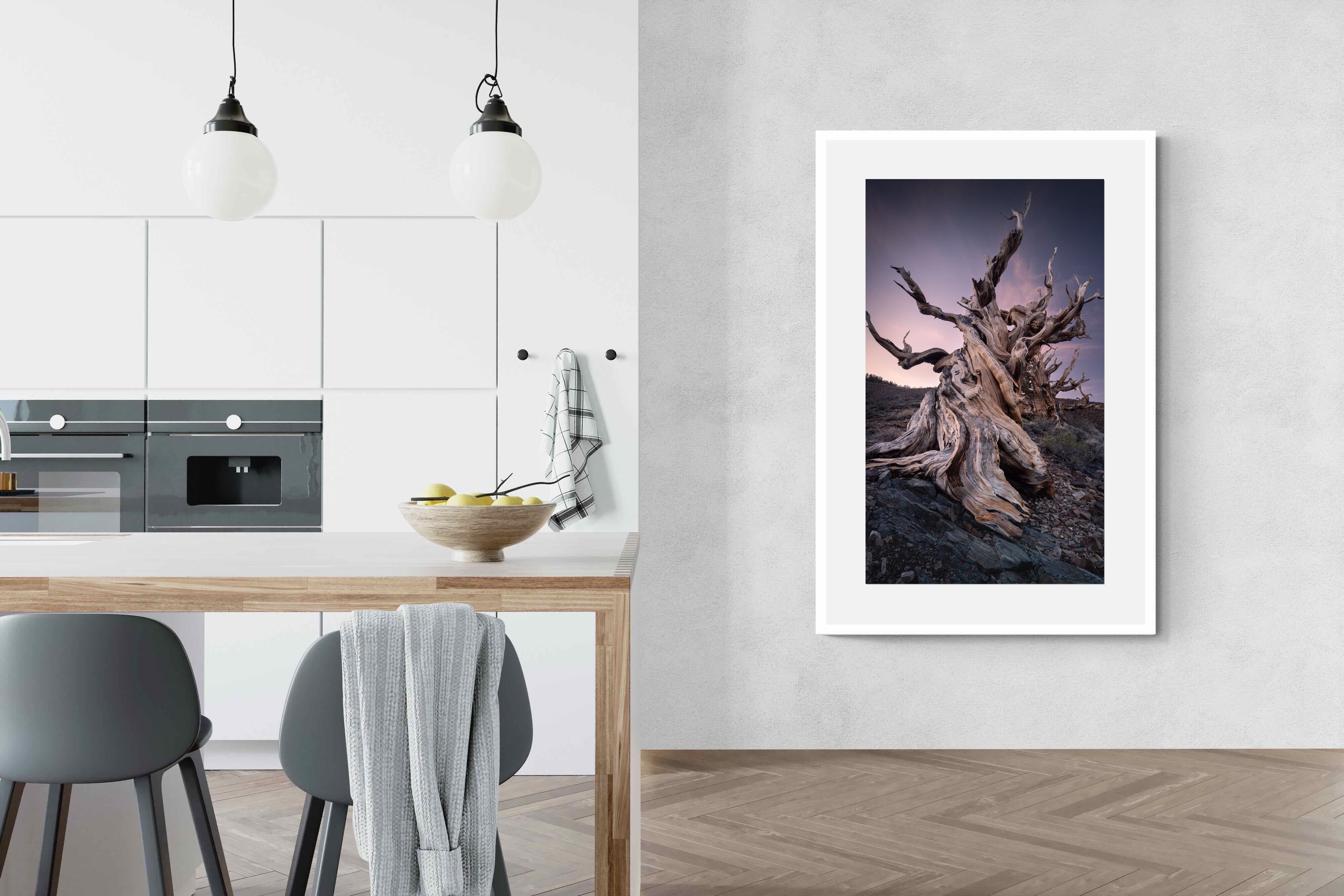 Pixalot Eternal Grain