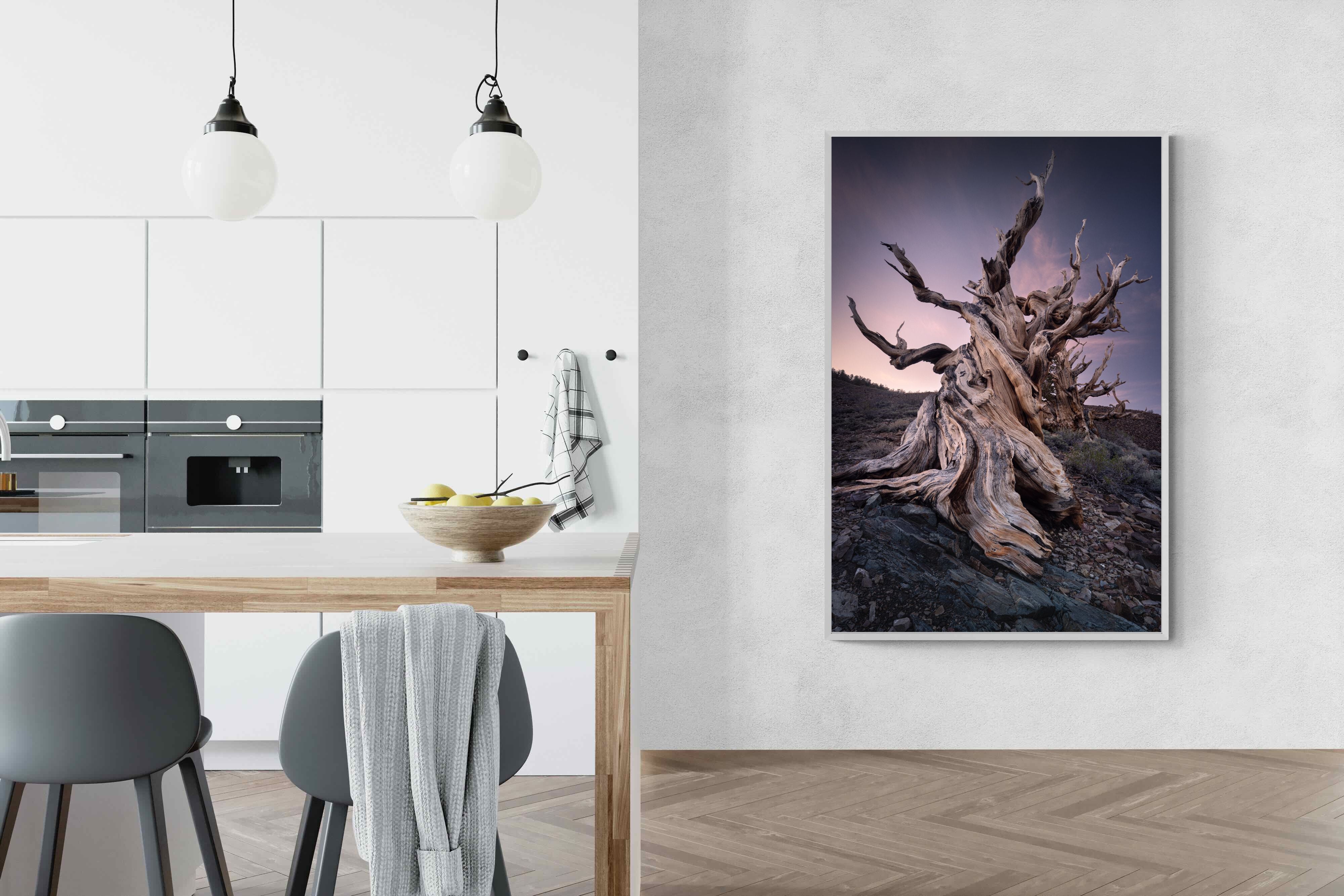 Pixalot Eternal Grain