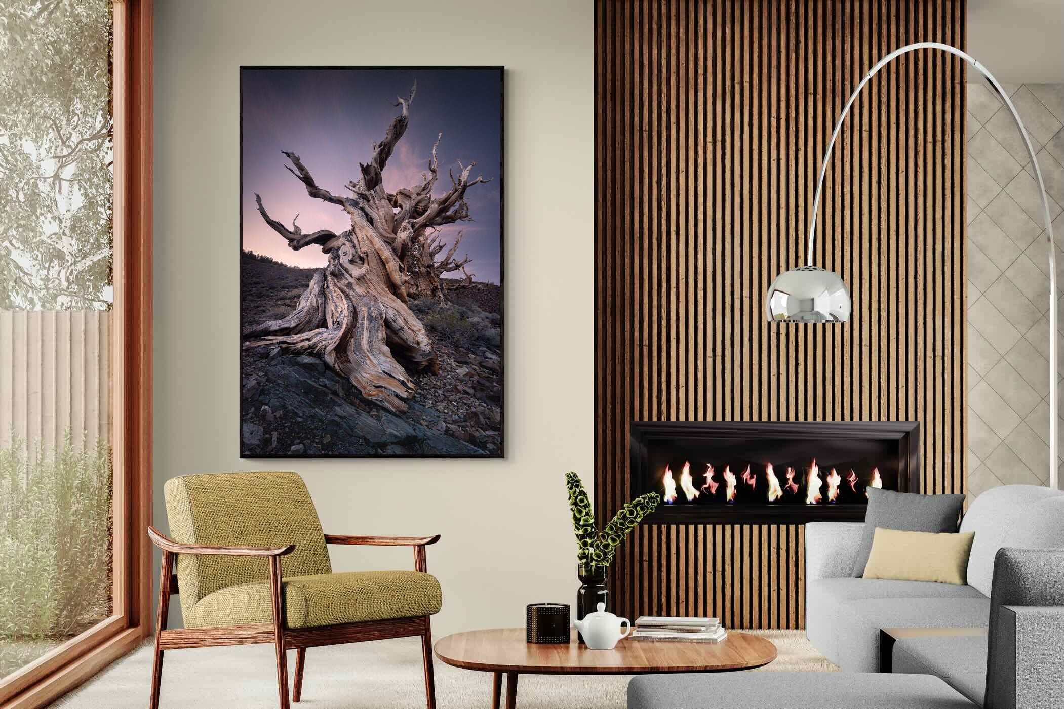 Pixalot Eternal Grain