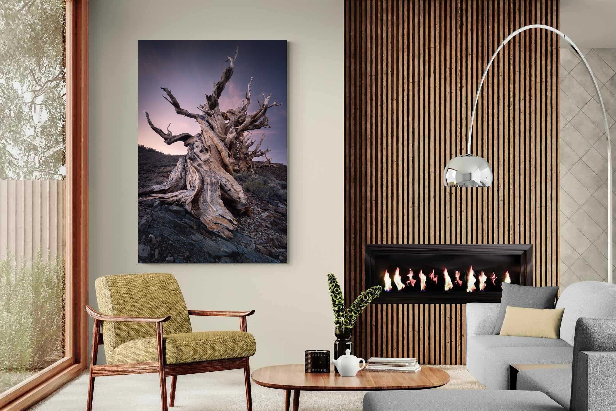 Pixalot Eternal Grain