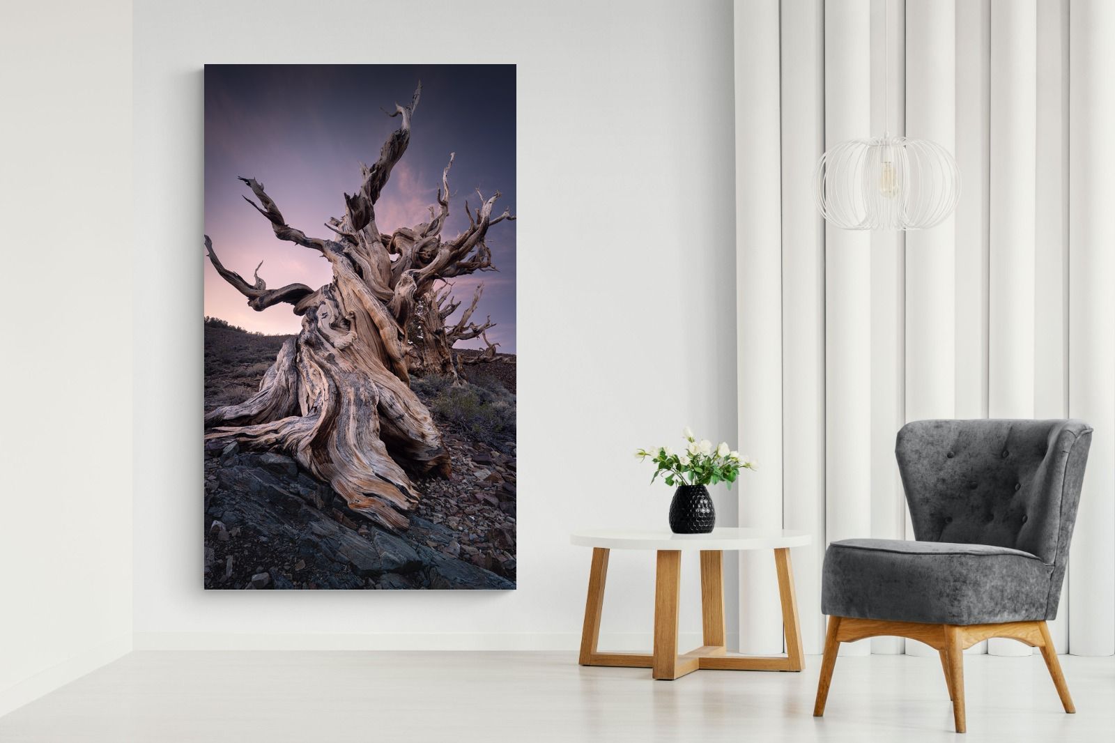 Pixalot Eternal Grain