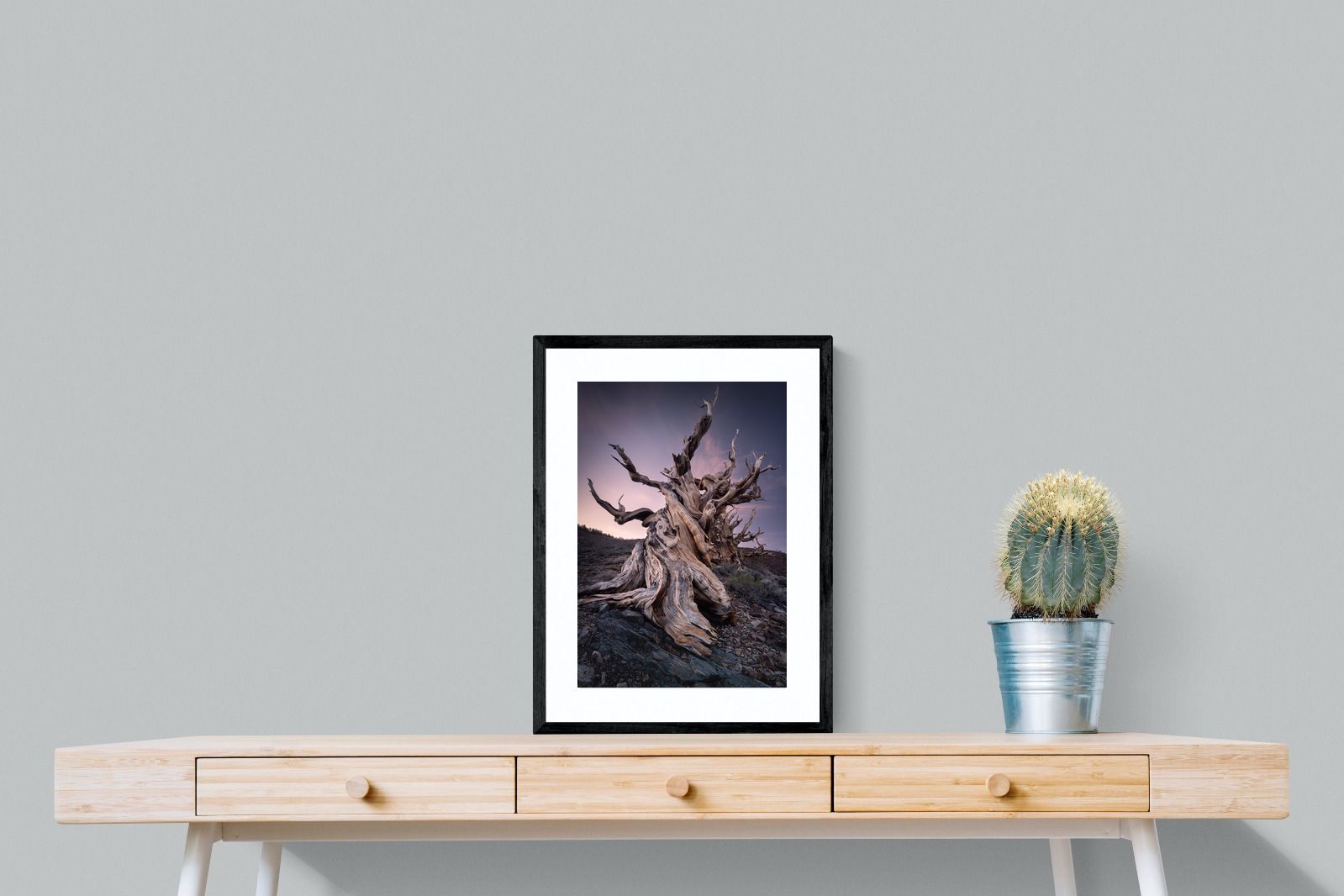 Pixalot Eternal Grain