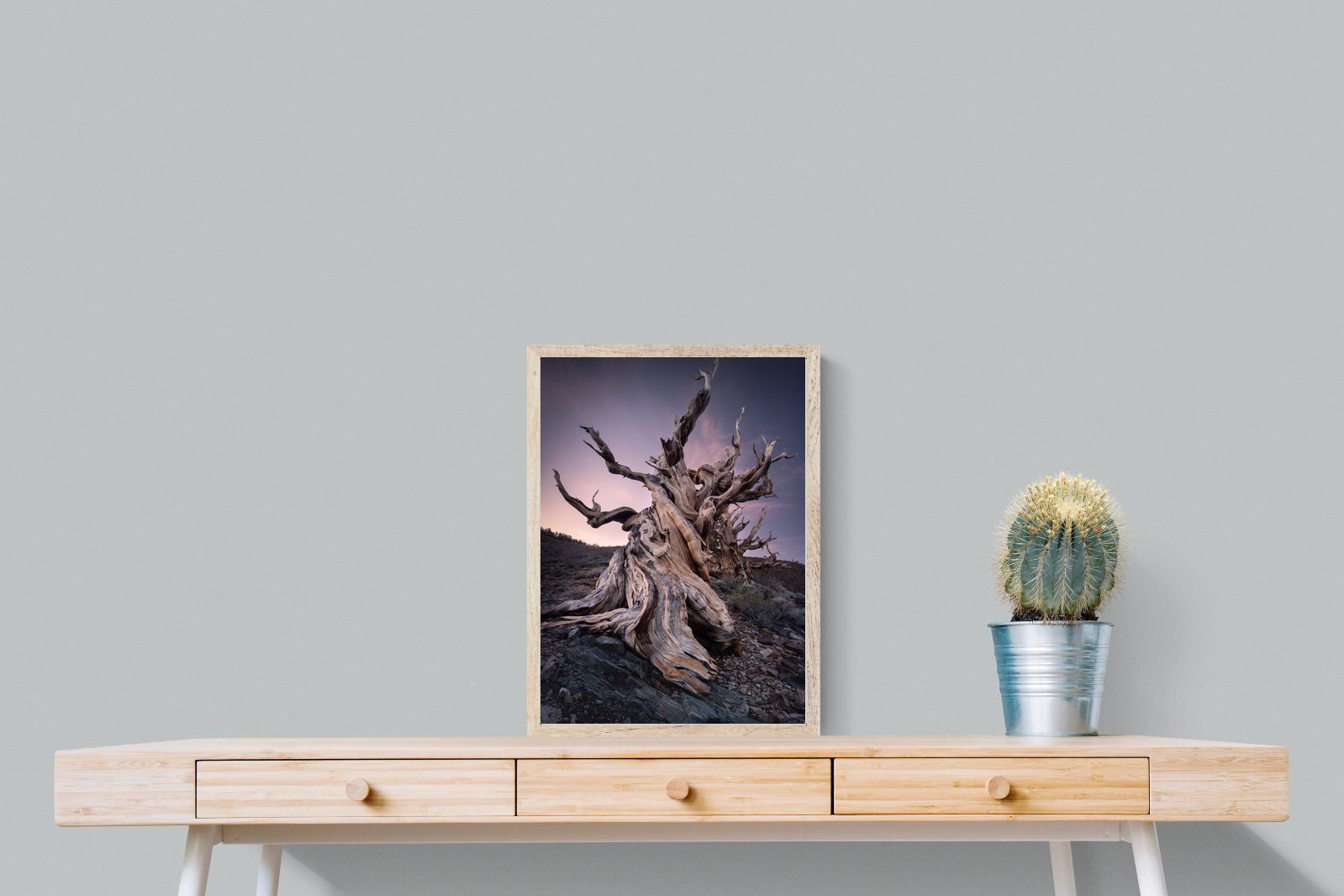 Pixalot Eternal Grain