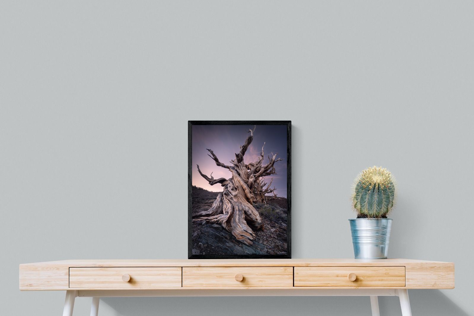 Pixalot Eternal Grain