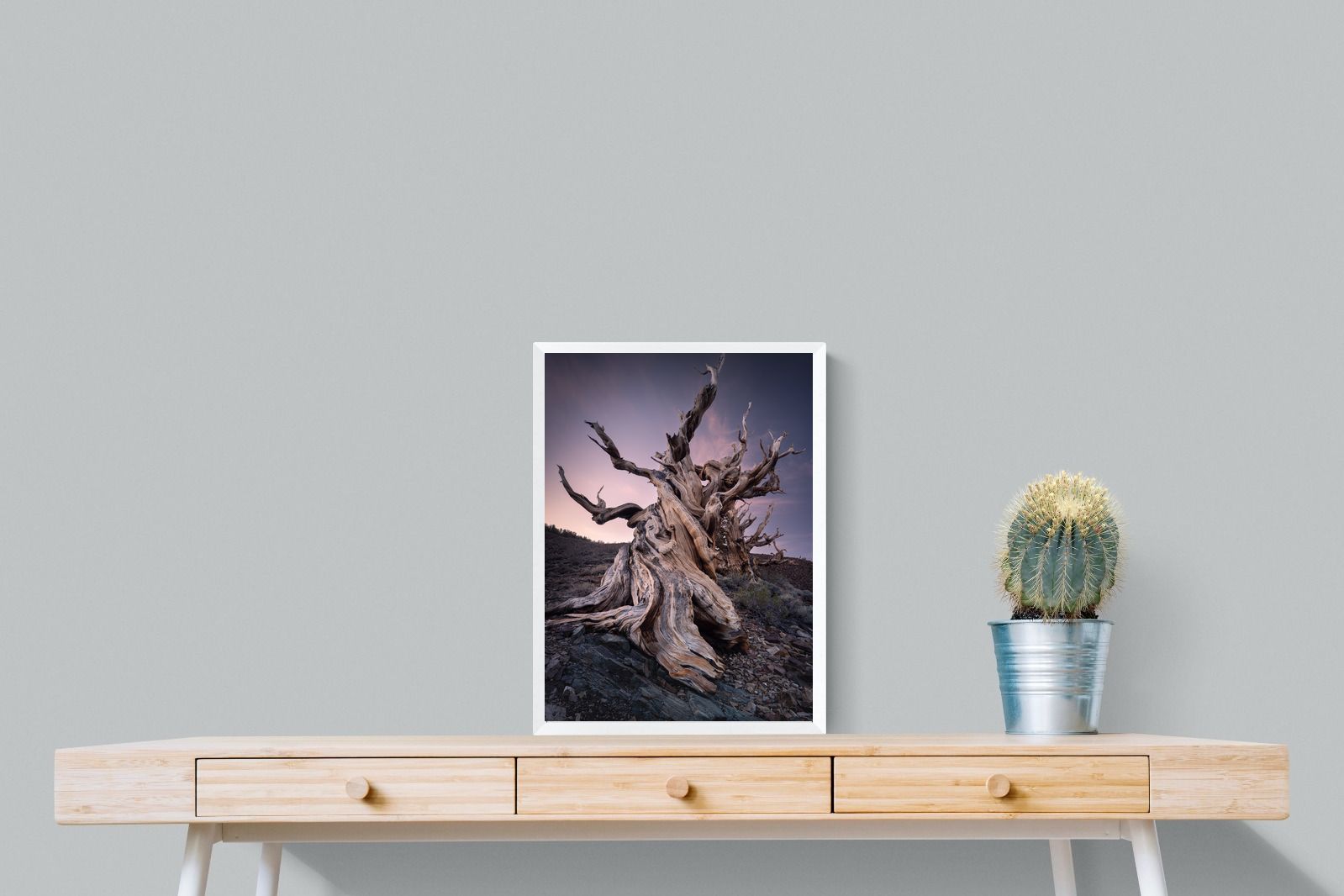 Pixalot Eternal Grain