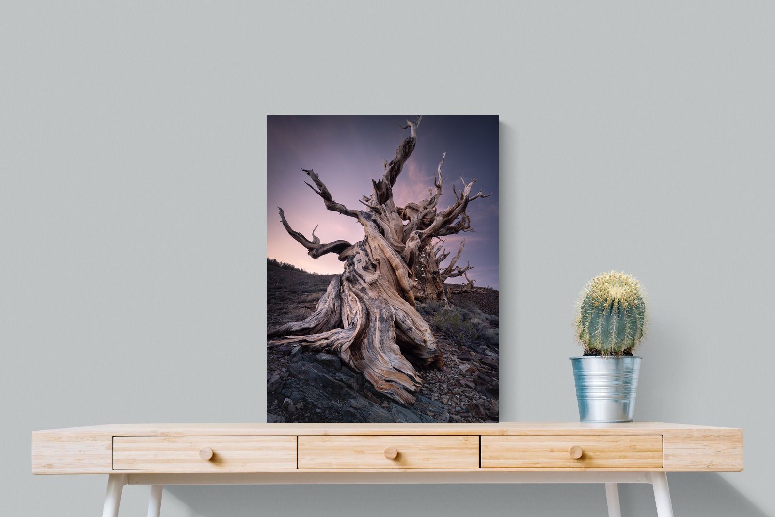 Pixalot Eternal Grain