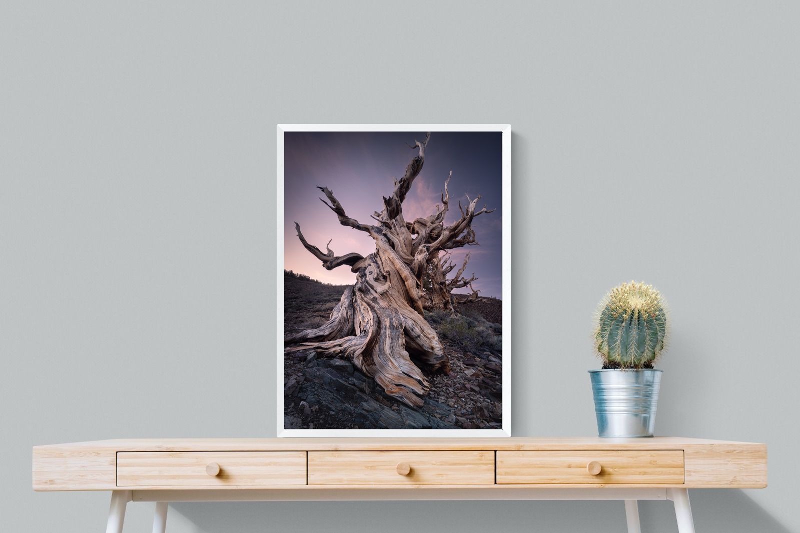 Pixalot Eternal Grain