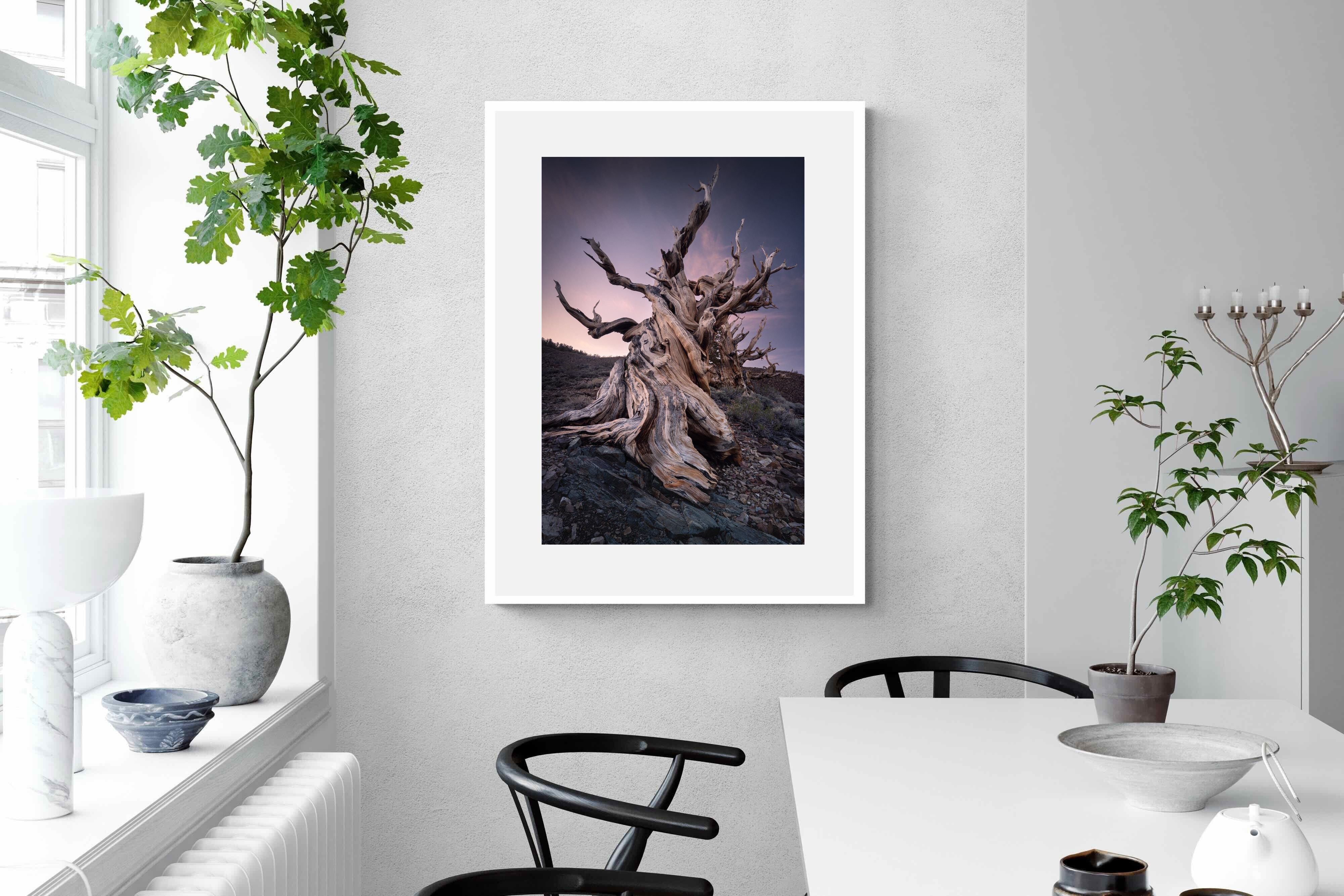 Pixalot Eternal Grain