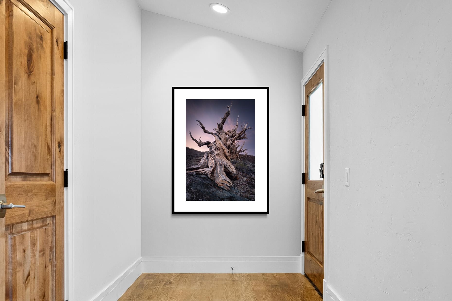 Pixalot Eternal Grain