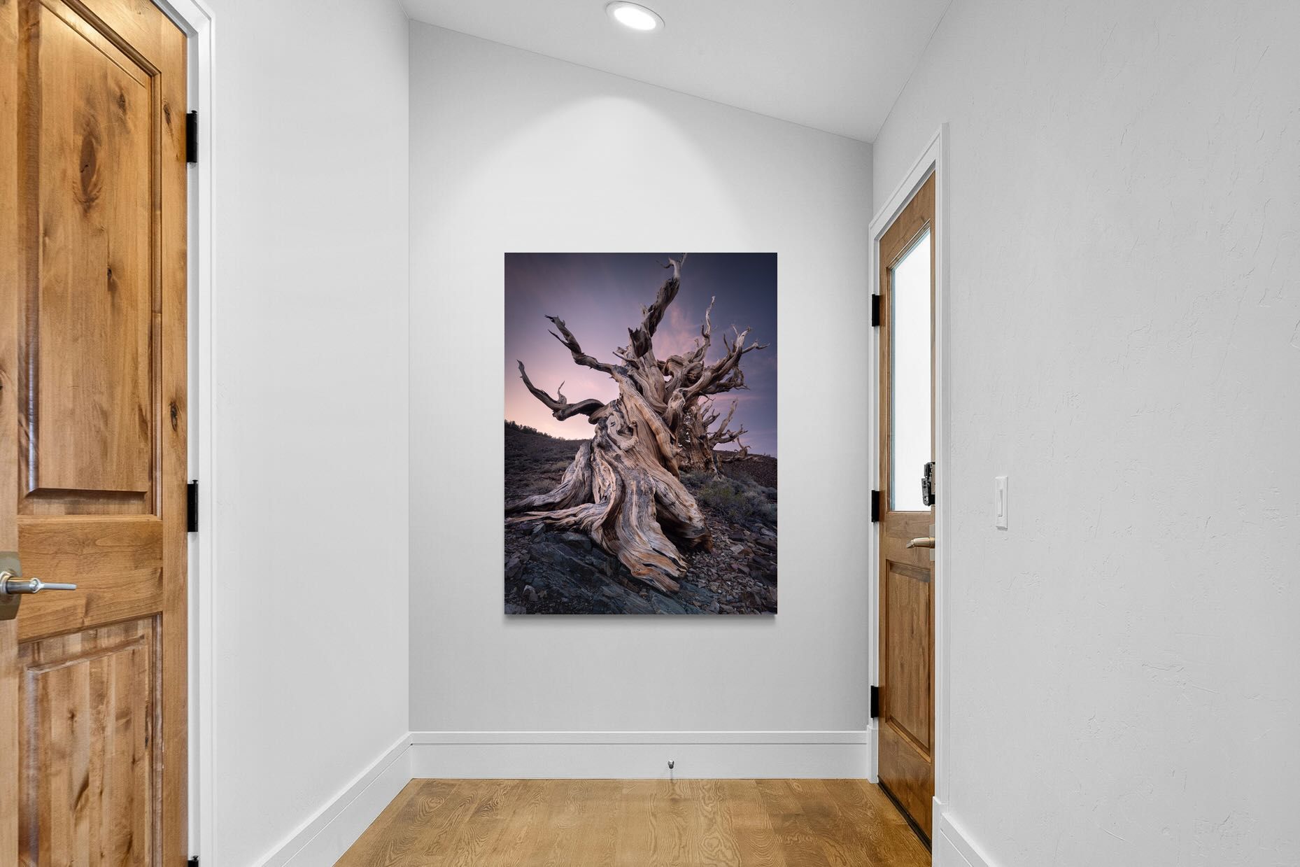 Pixalot Eternal Grain