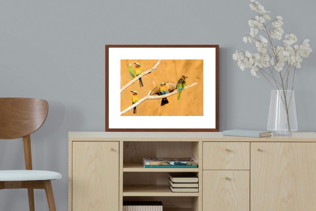 Pixalot ® Feathered Friends