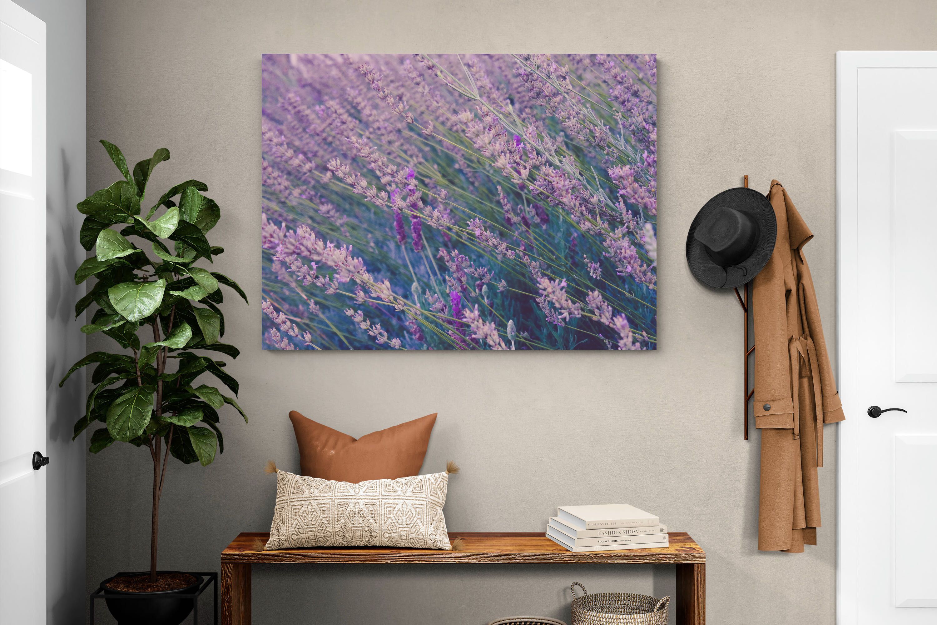 Pixalot Fields of Lavender