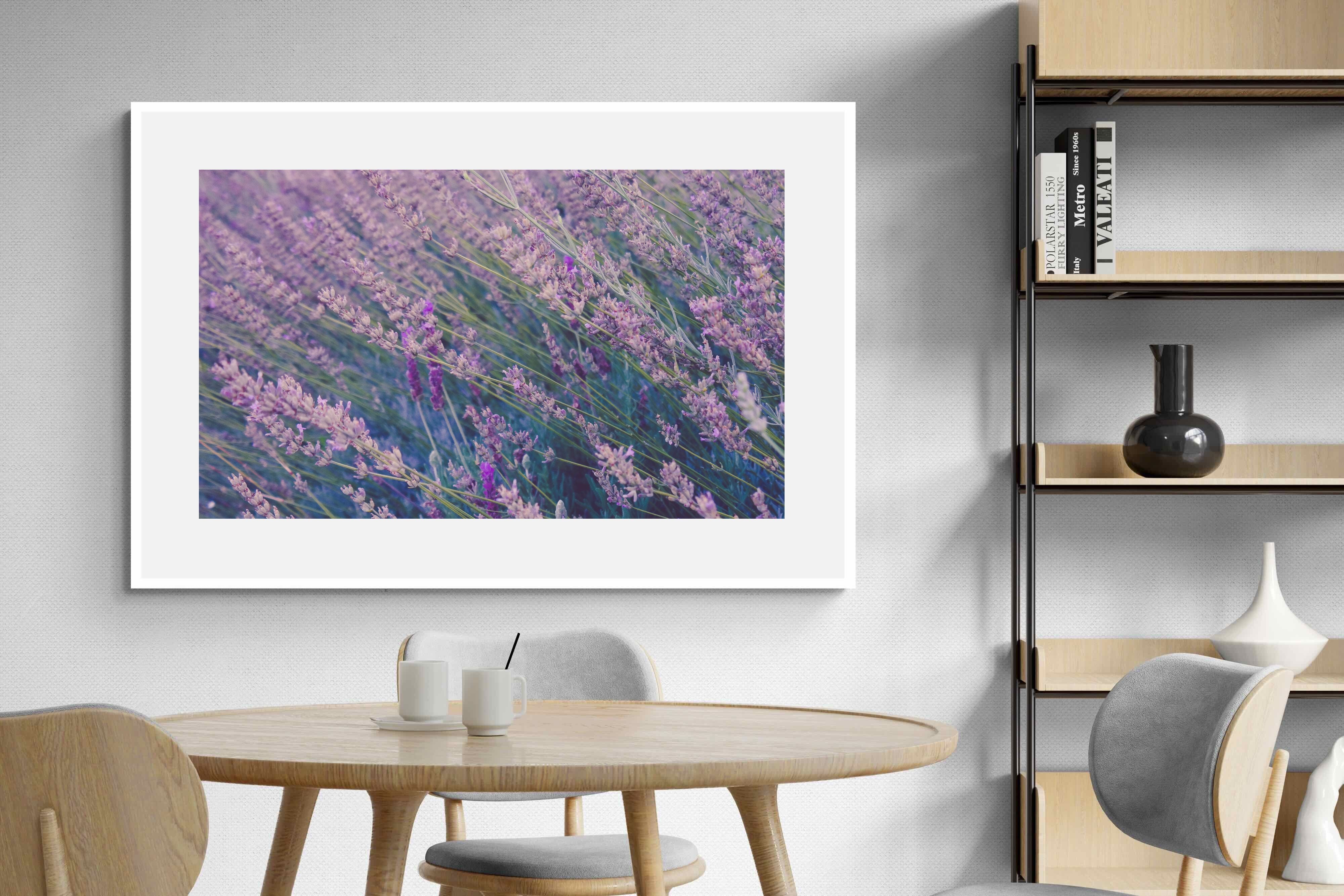 Pixalot Fields of Lavender