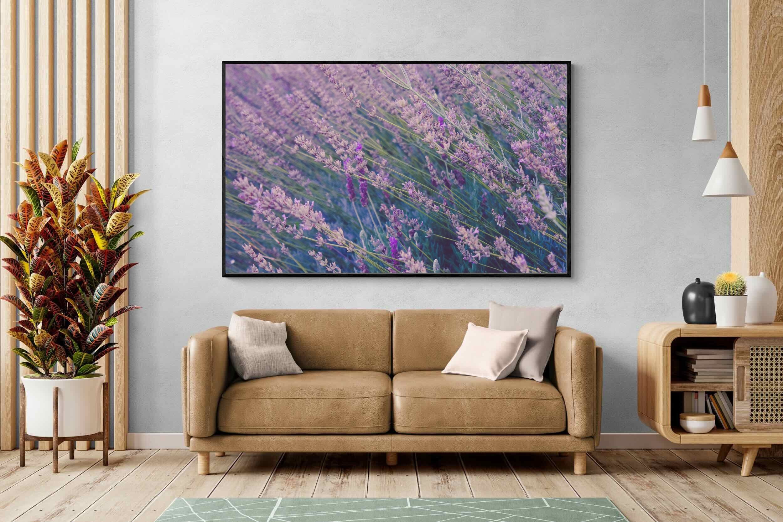 Pixalot Fields of Lavender