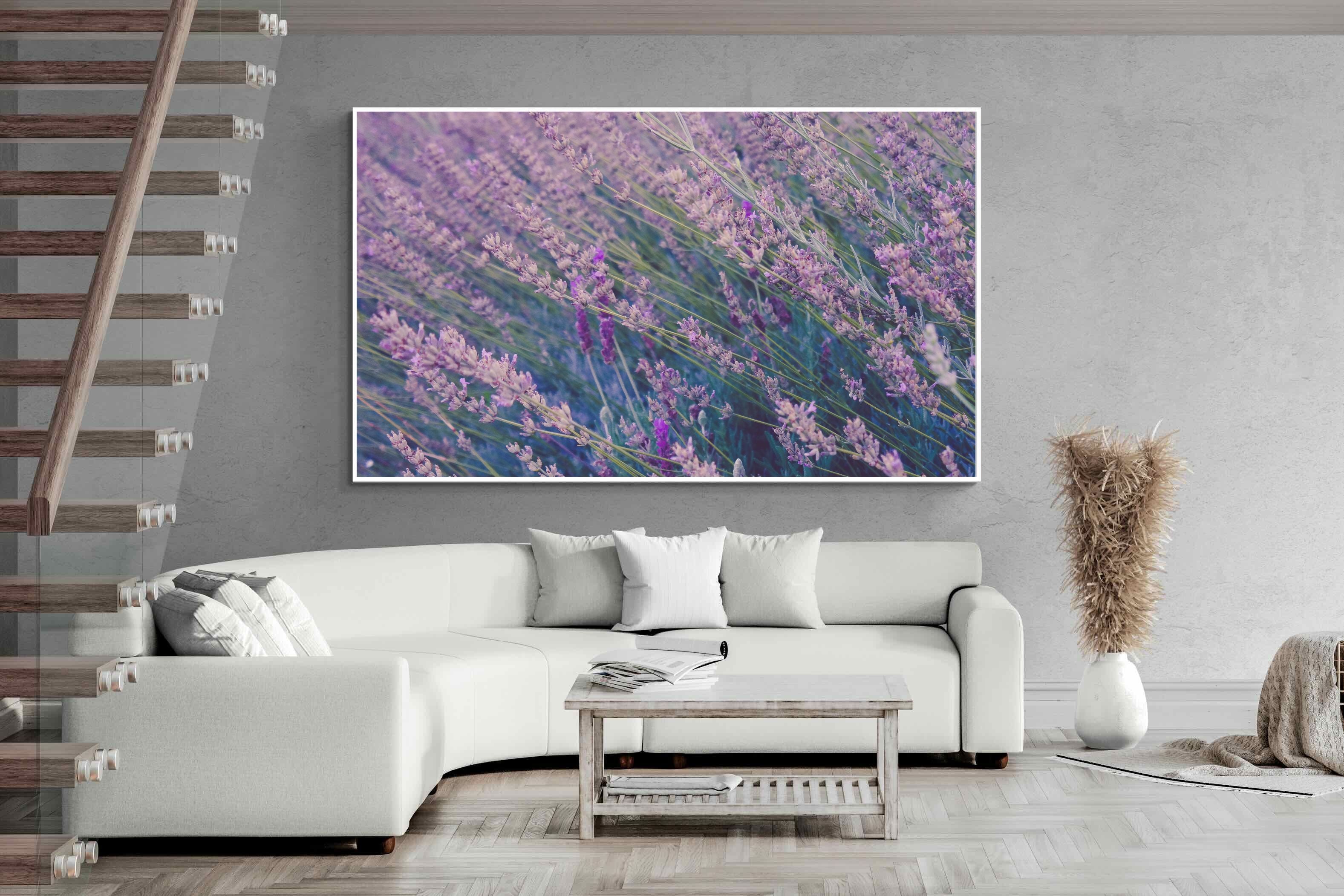 Pixalot Fields of Lavender
