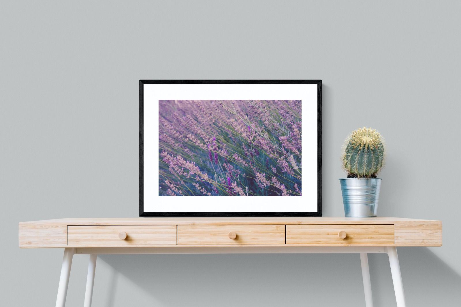 Pixalot Fields of Lavender